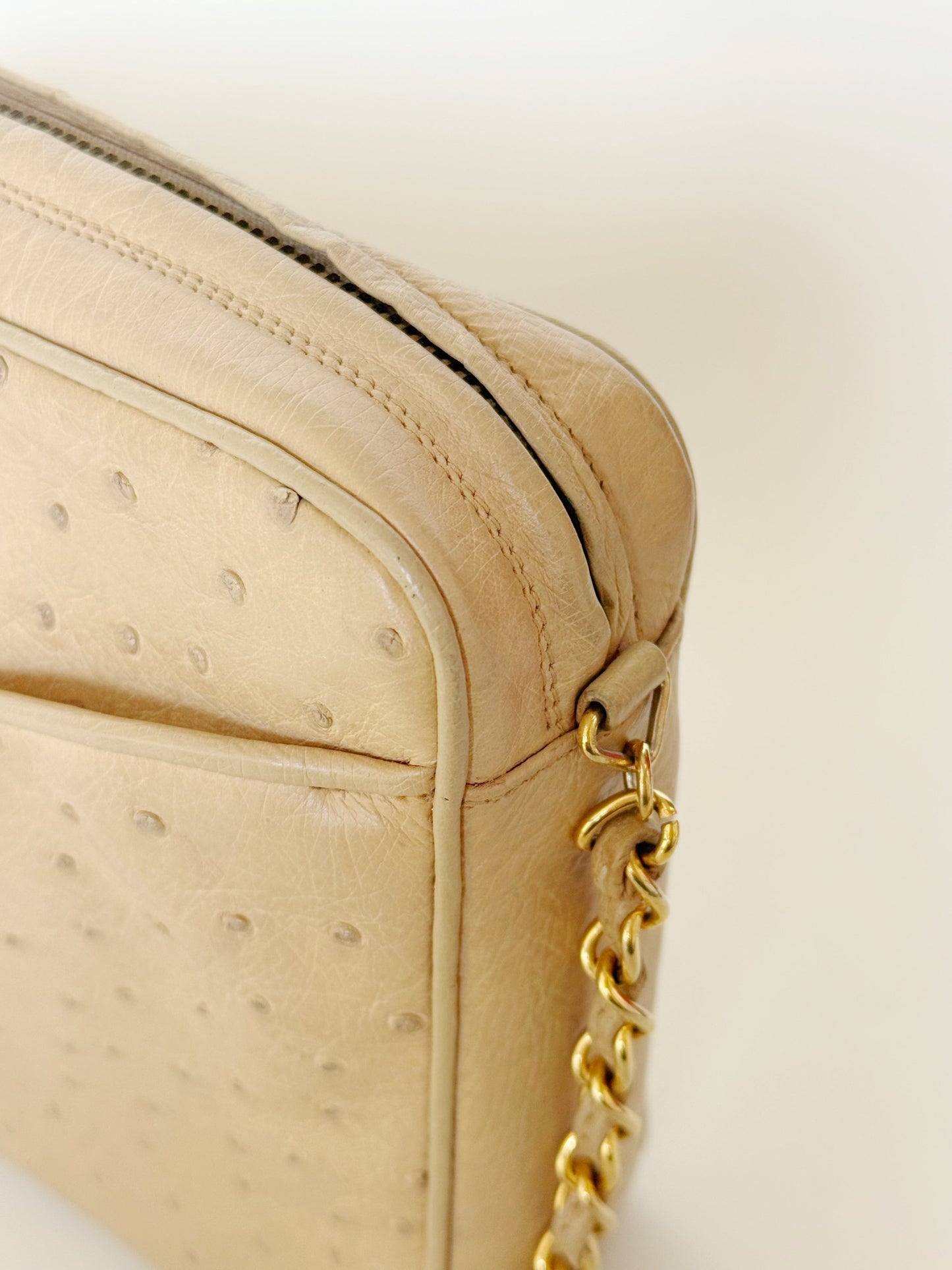 Chanel  Ostrich Camera Bag