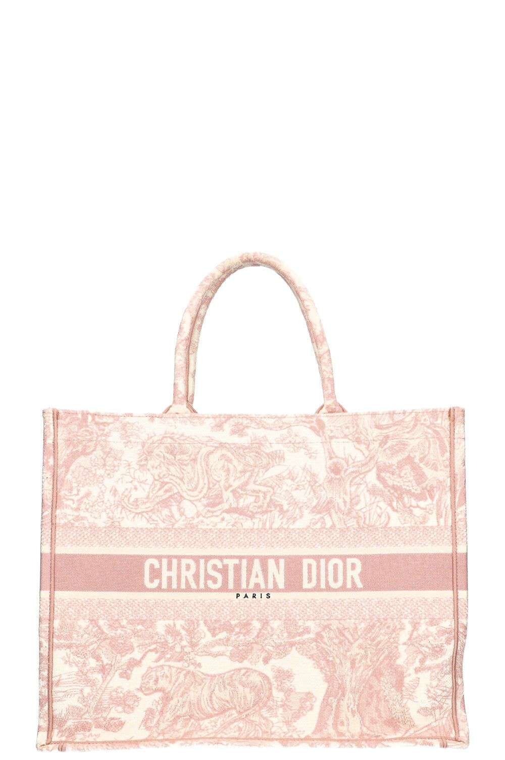 Dior Book Tote Mini Canvas Tote