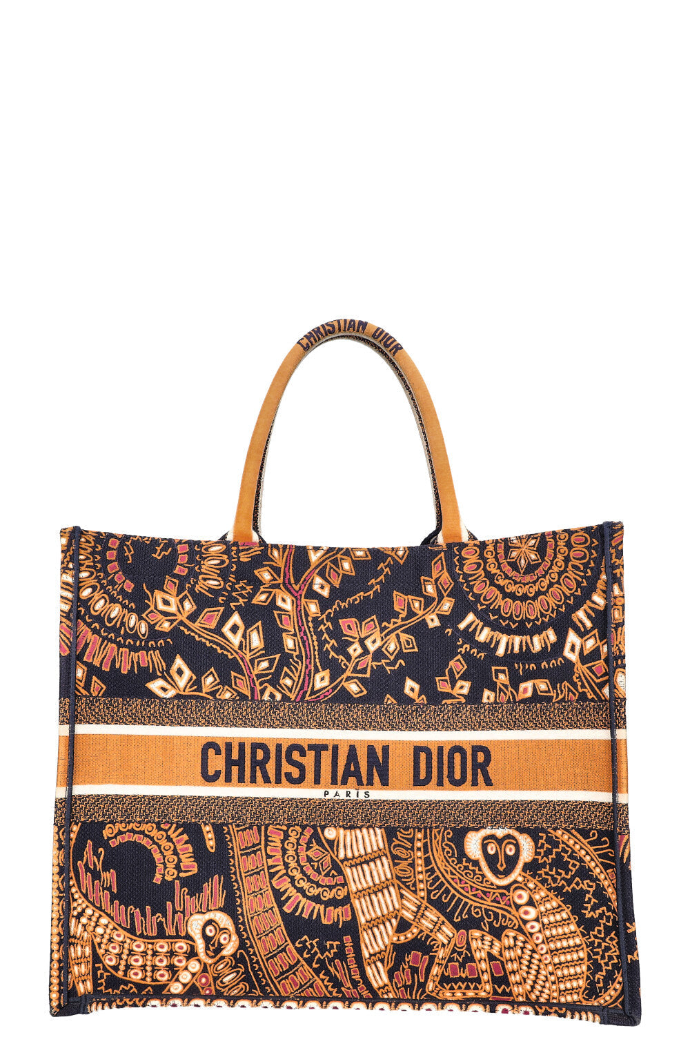 Dior Book Tote Canvas Tote