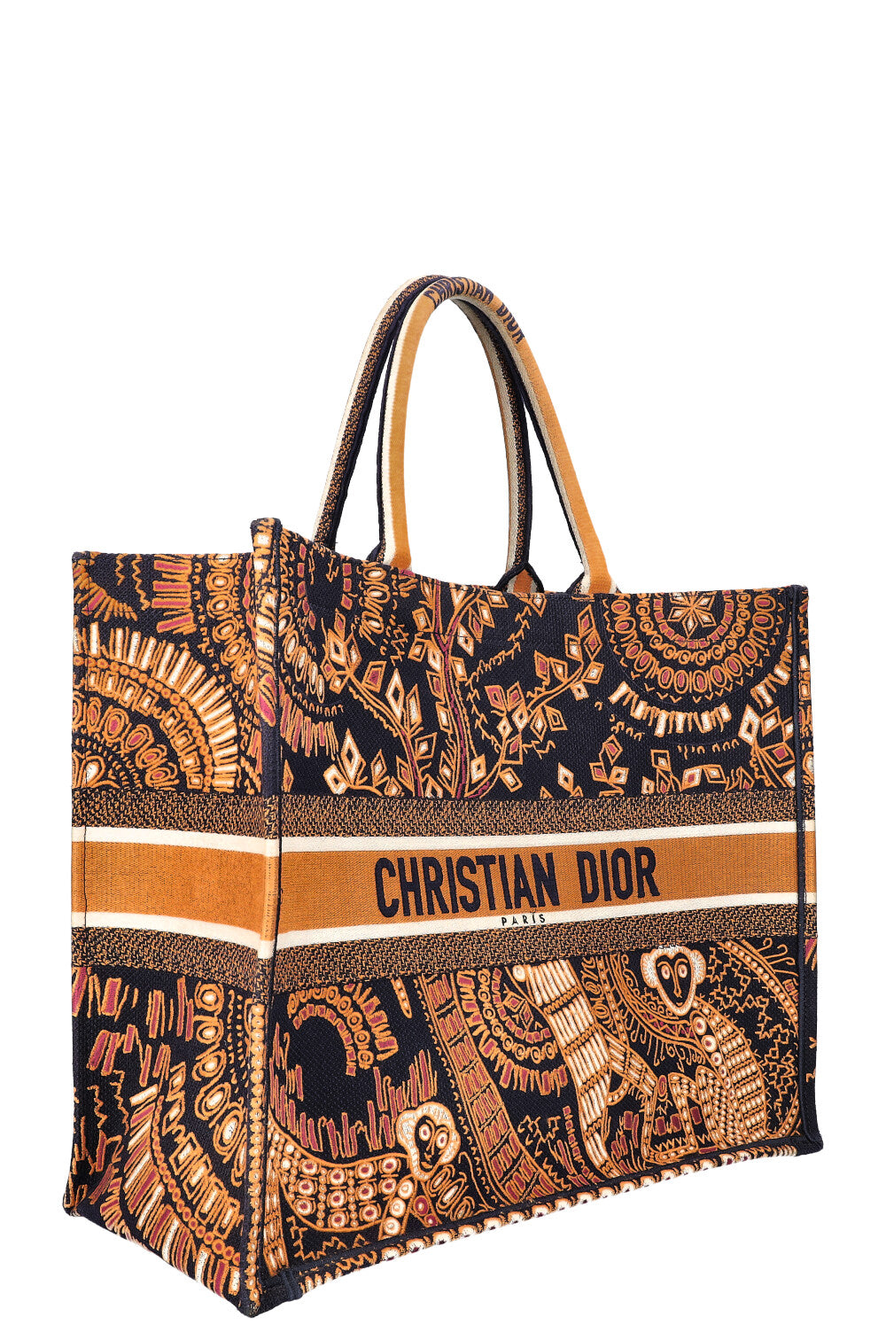 Dior Book Tote Canvas Tote