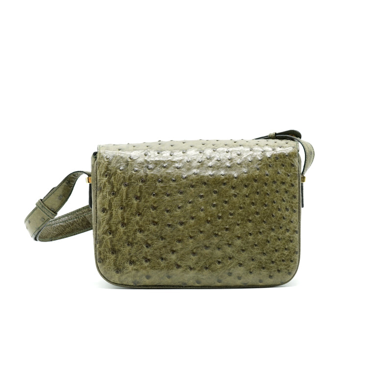 Luxury CELINE Vintage Ostrich Triomphe Bag