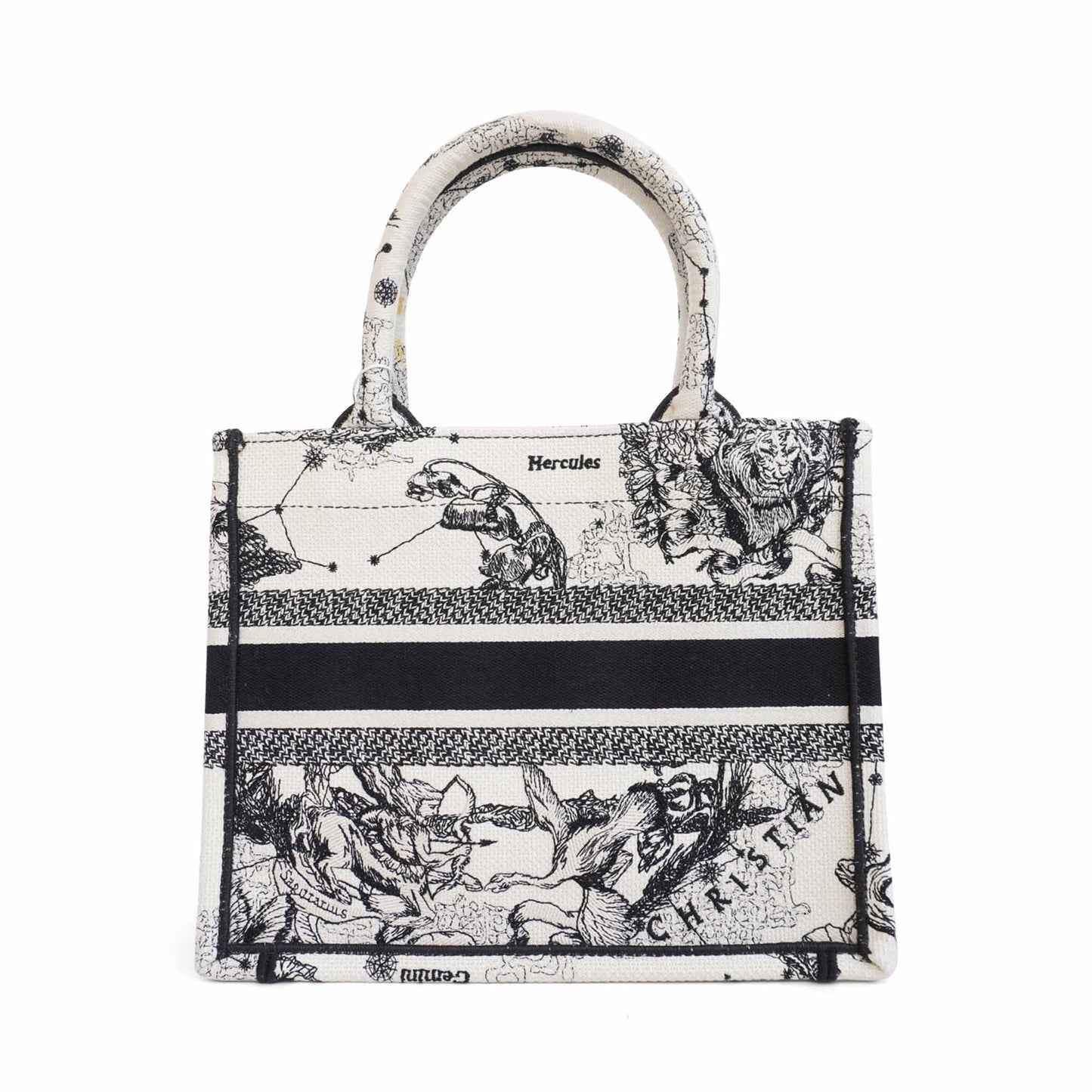 Dior Book Tote Canvas Tote