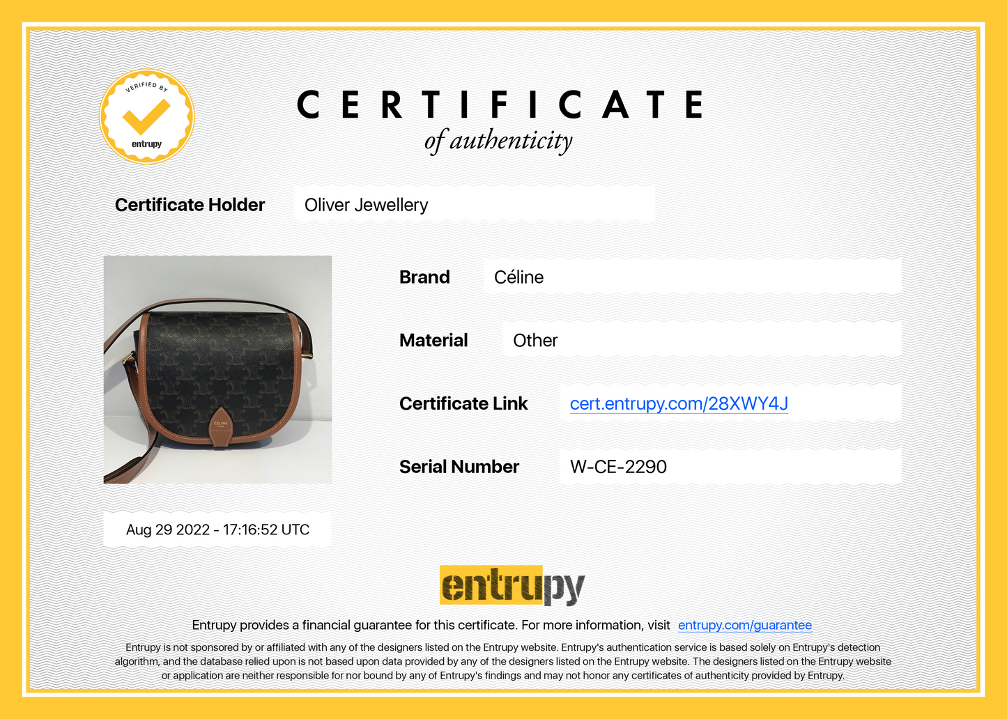 Celine 2020 Triomphe Canvas Folco Crossbody Bag