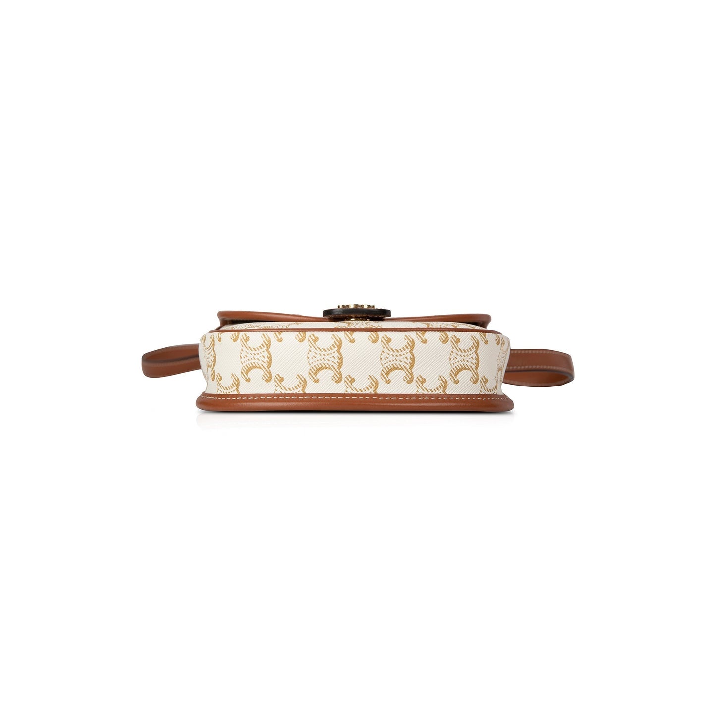 Celine 2021 Triomphe Canvas Mini Besace Crossbody Bag