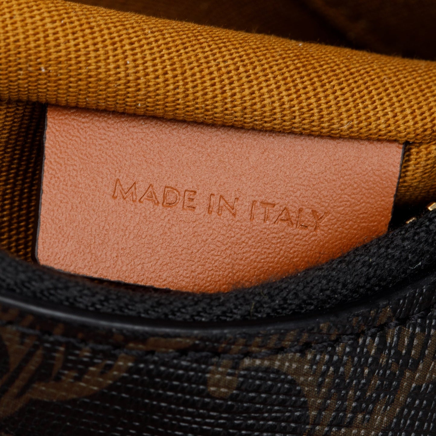 Celine 2022 Brown Triomphe Canvas Ava Shoulder Bag