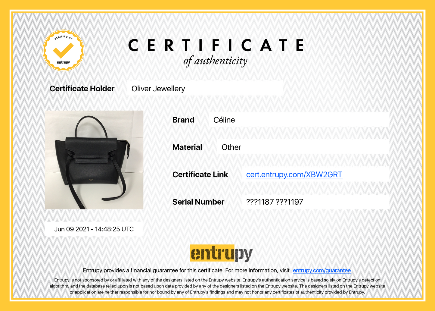 Celine Micro Belt Bag