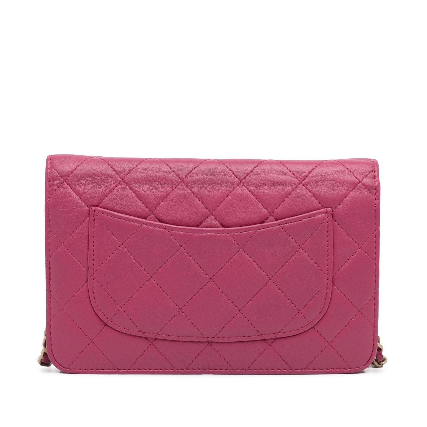 Chanel Wallet On Chain Crossbody Bag - Ewore Bags