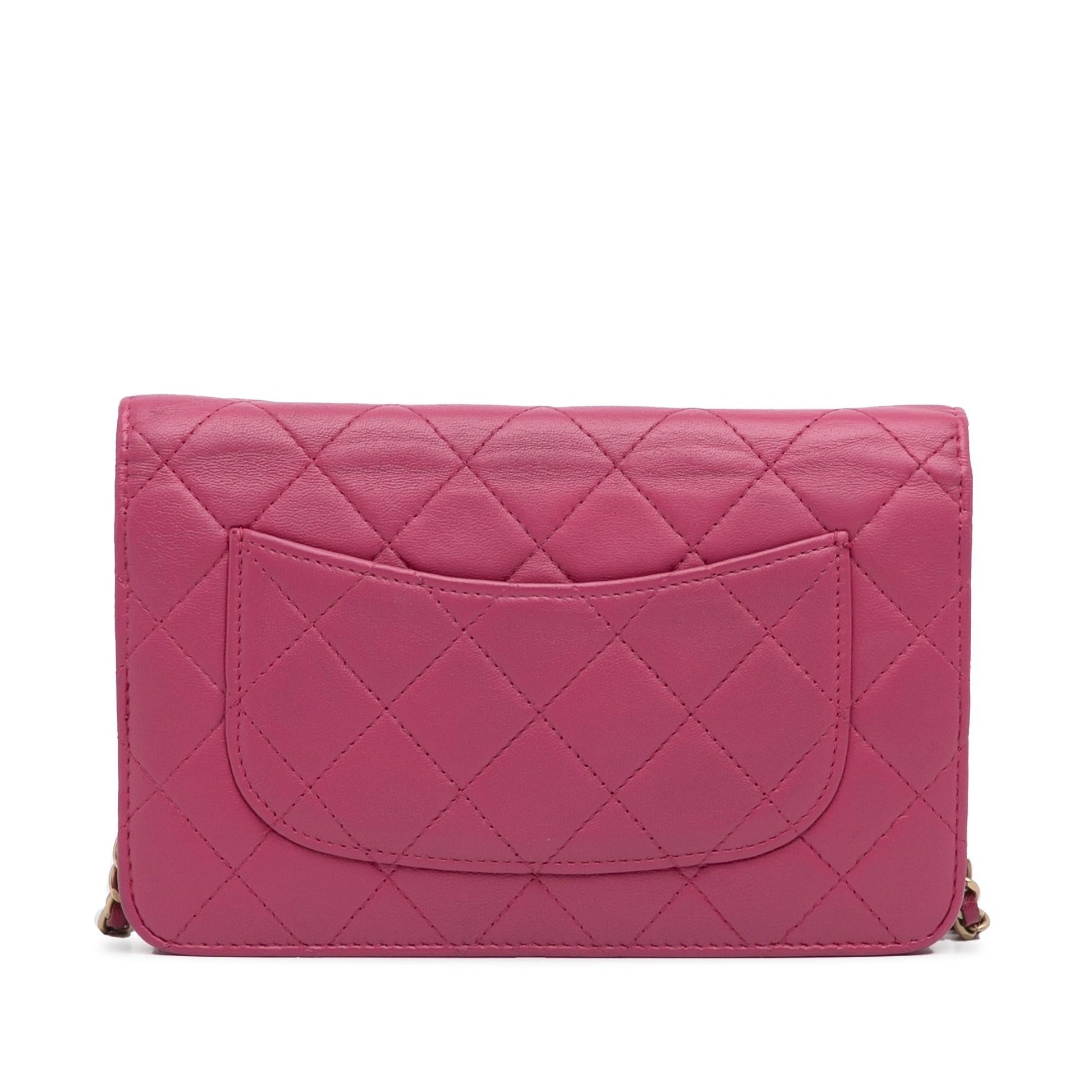 Chanel Wallet On Chain Crossbody Bag - Ewore Bags