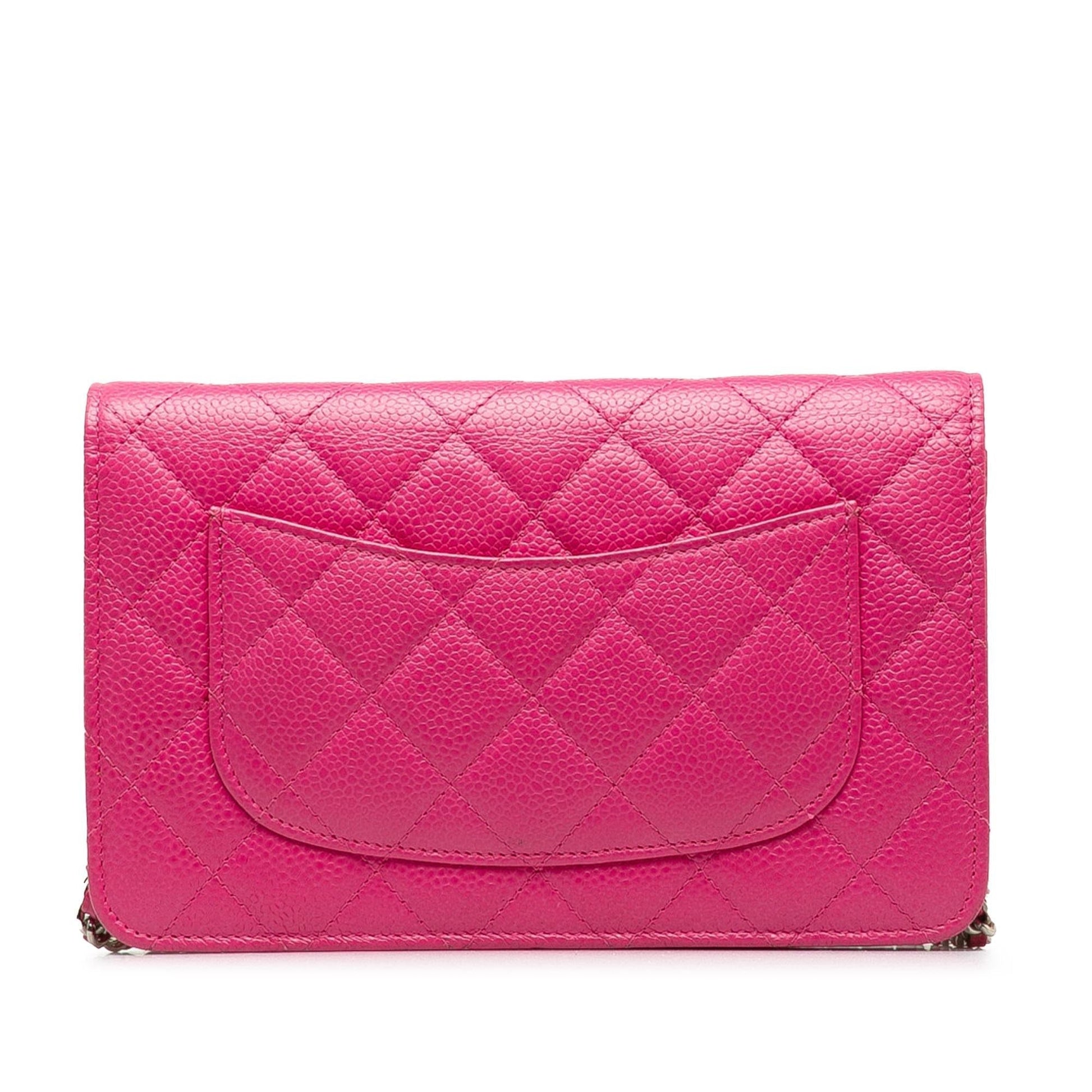 Chanel Wallet On Chain Crossbody Bag - Ewore Bags
