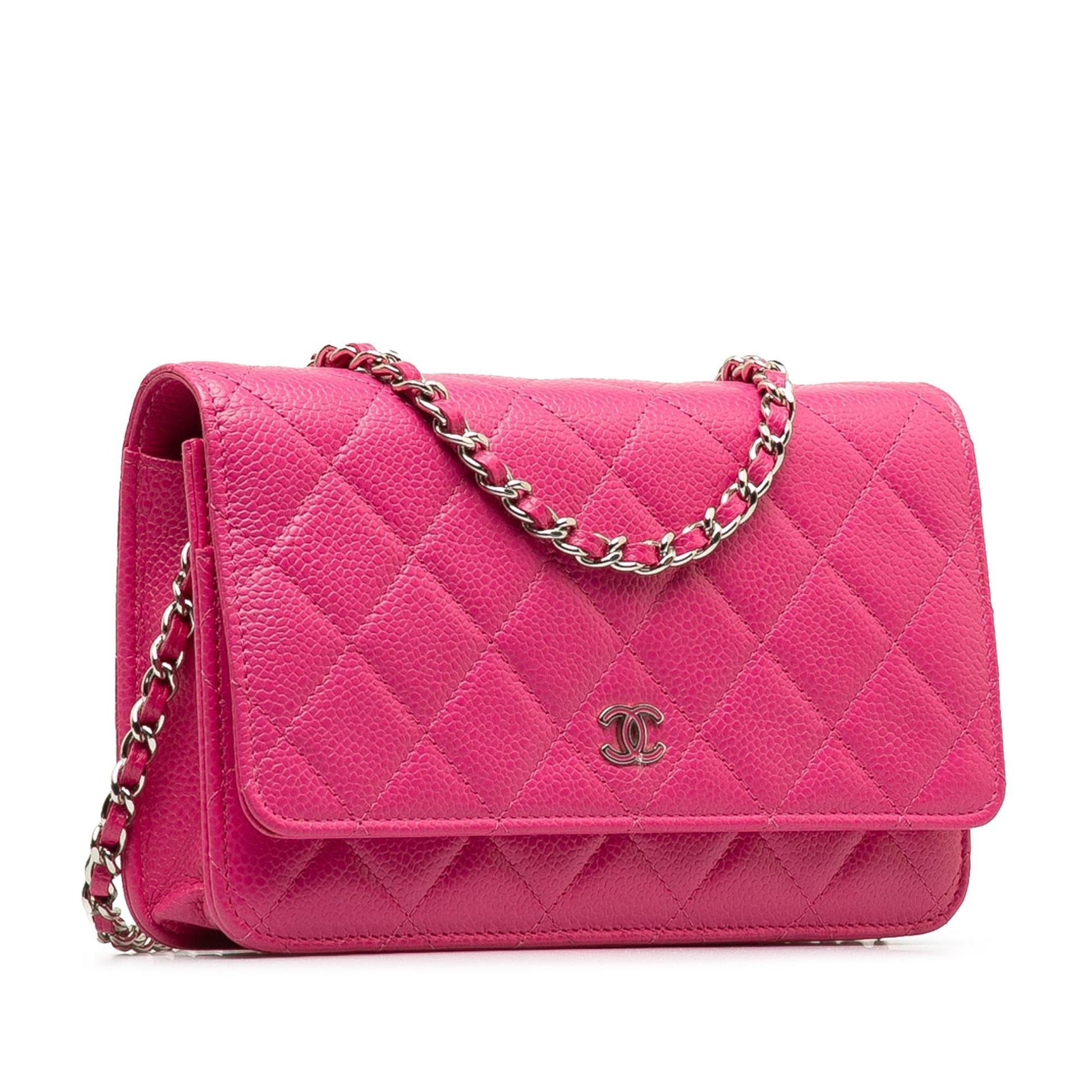 Chanel Wallet On Chain Crossbody Bag - Ewore Bags