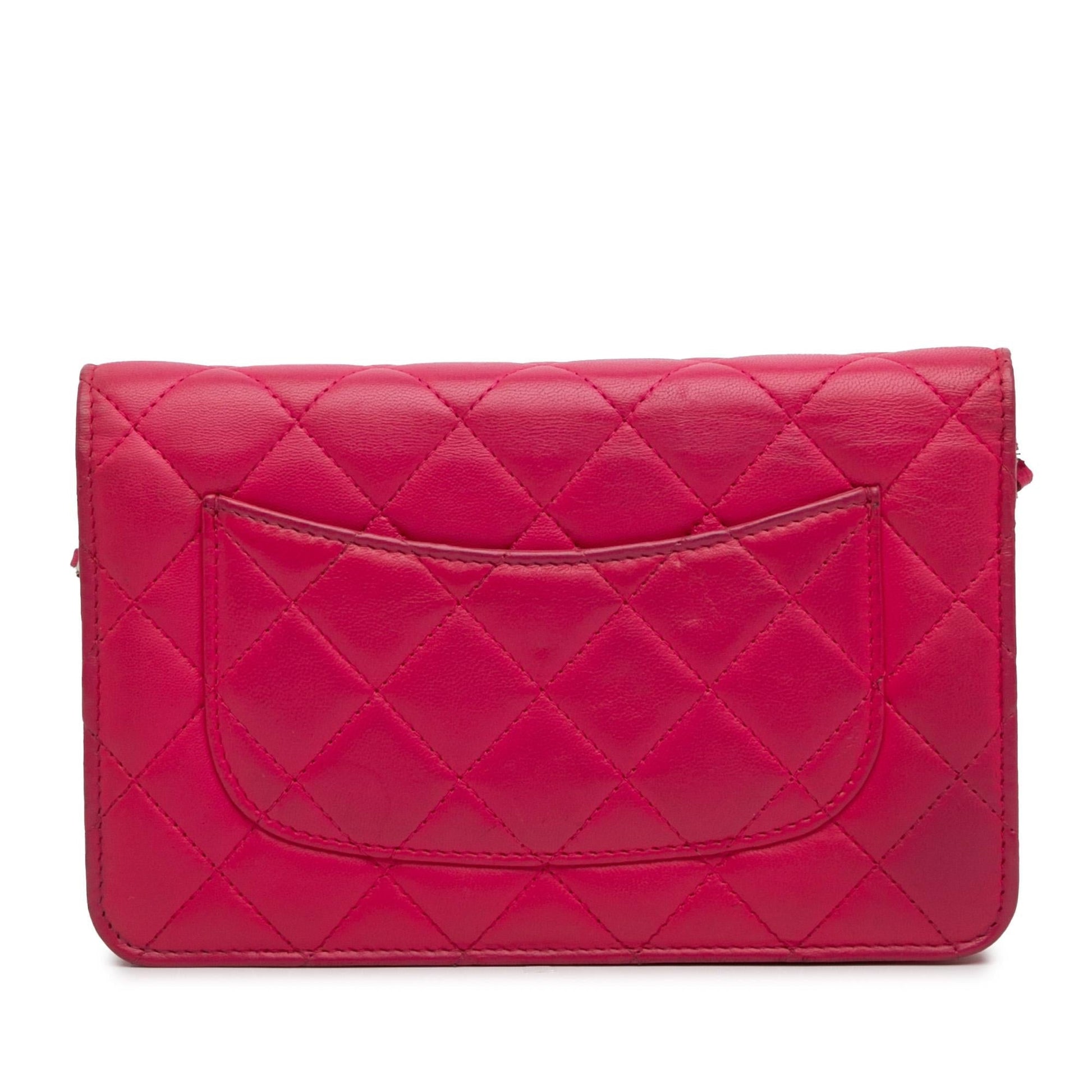 Chanel Wallet On Chain Crossbody Bag - Ewore Bags