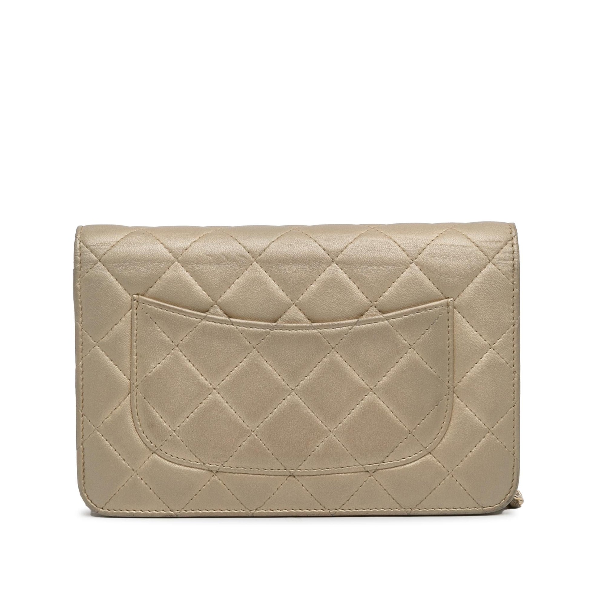 Chanel Wallet On Chain Crossbody Bag - Ewore Bags