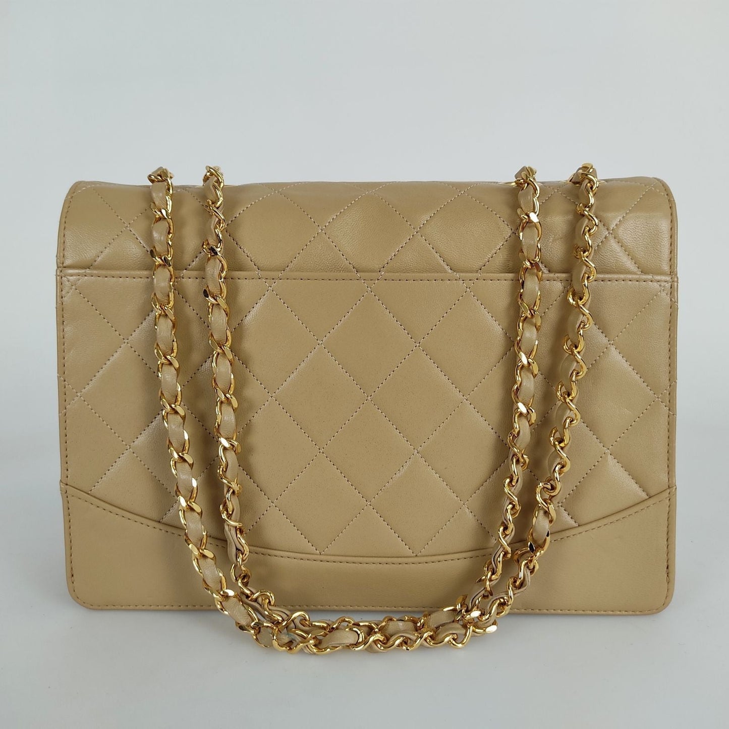 Chanel Handbag - Ewore Bags
