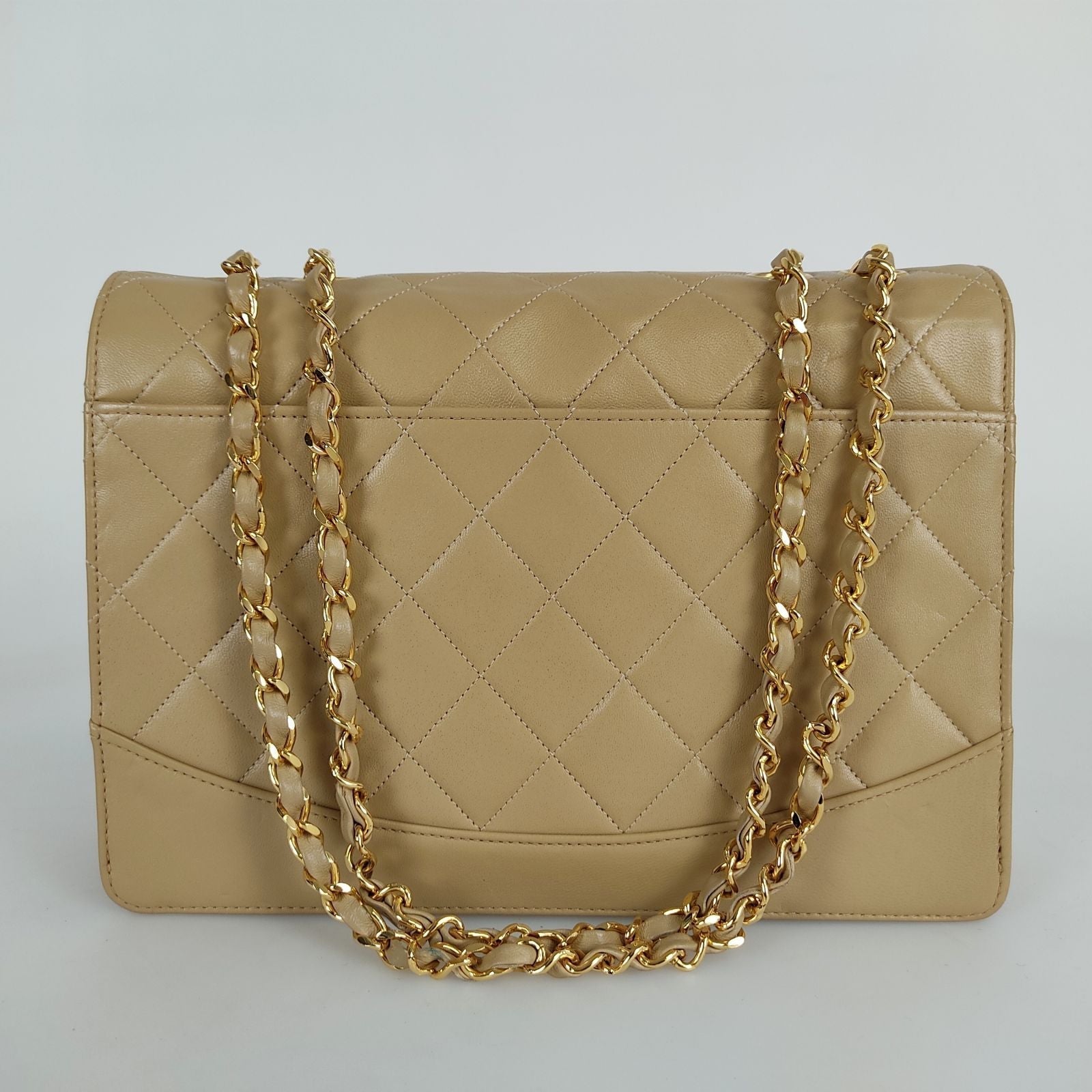 Chanel Handbag - Ewore Bags