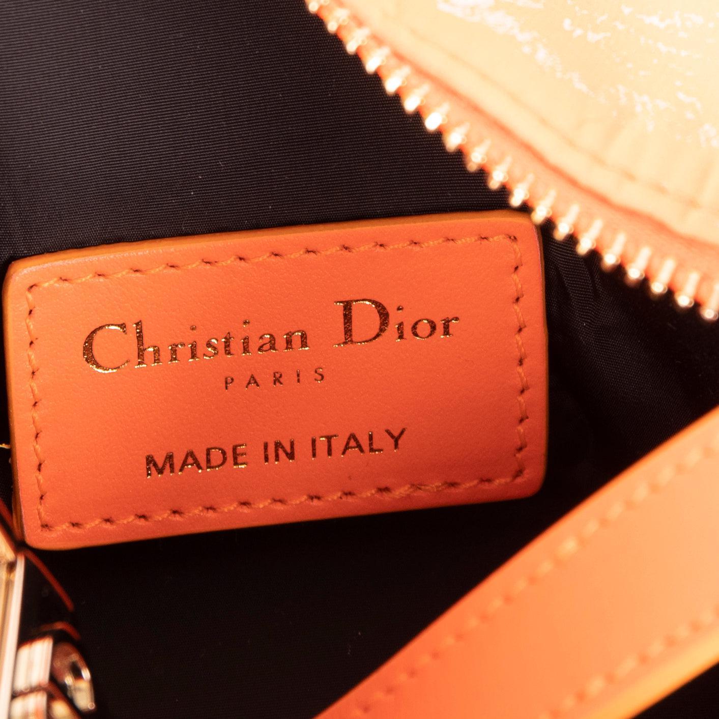Christian 2022 Dior Toile de Jouy DiorTravel Nomad Pouch