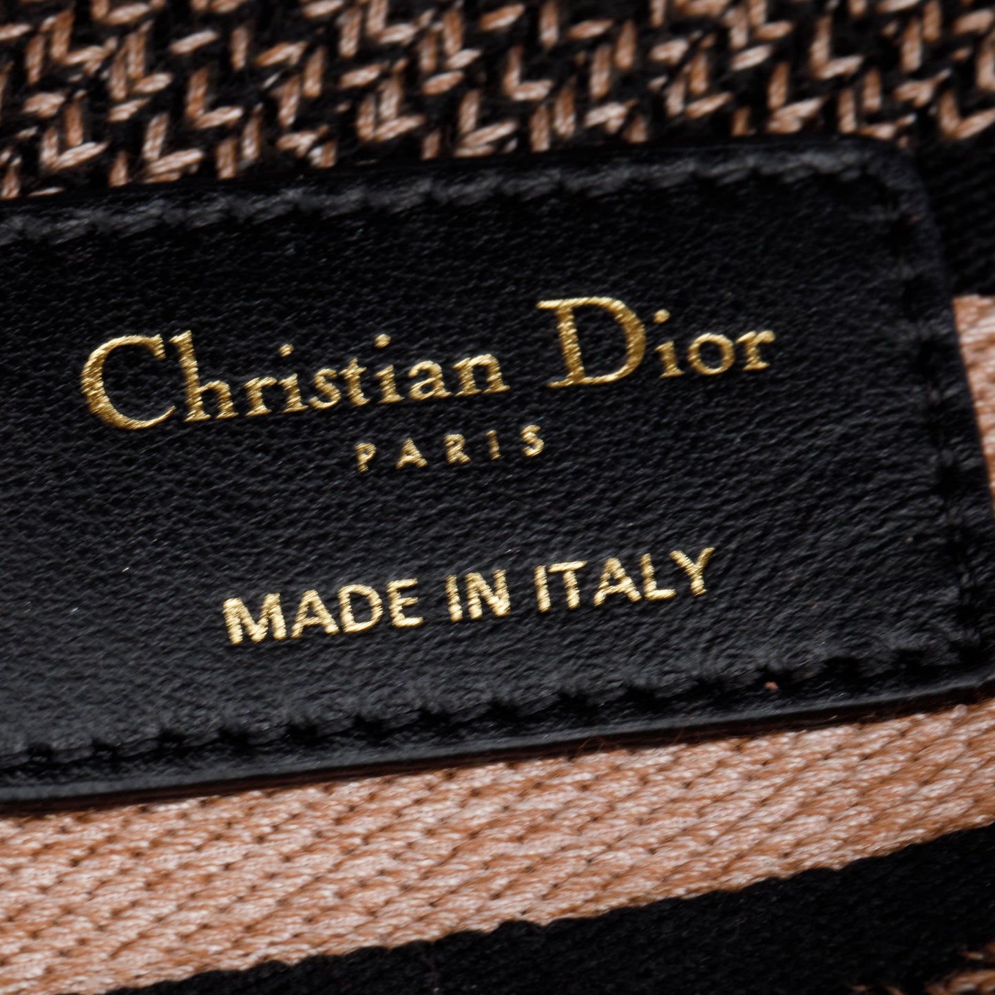 Christian Dior 2023 Jardin Magique Embroidery Medium Lady D-Lite Bag