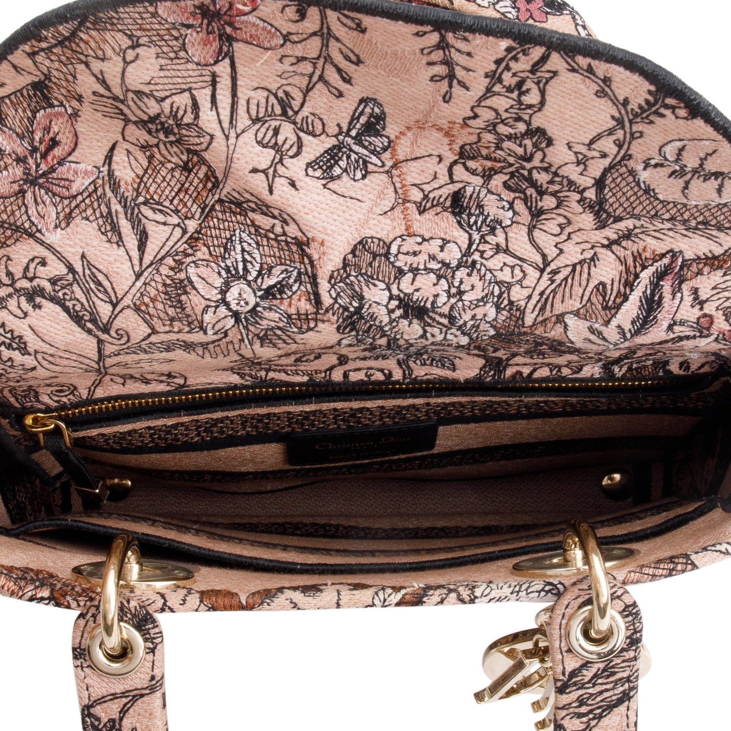 Christian Dior 2023 Jardin Magique Embroidery Medium Lady D-Lite Bag