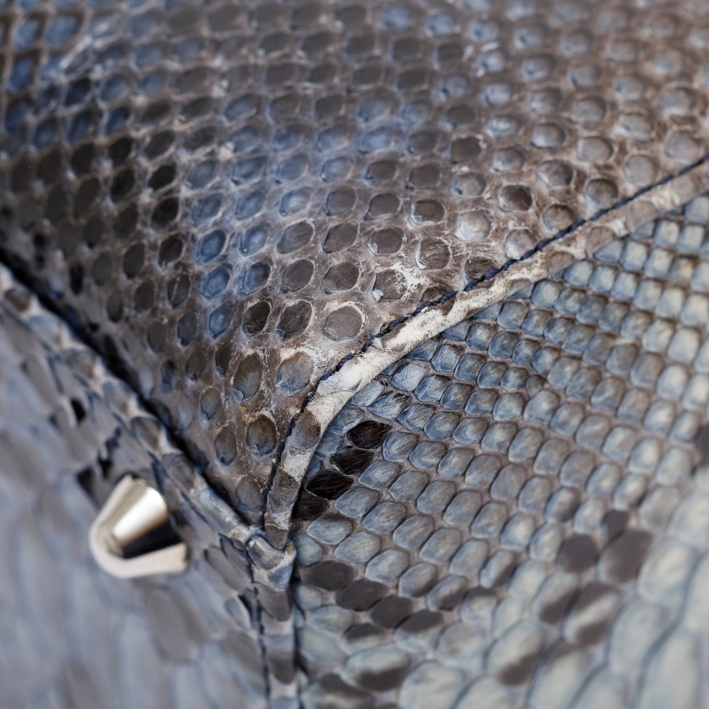 Christian Dior Python Large Lady Dior Bag