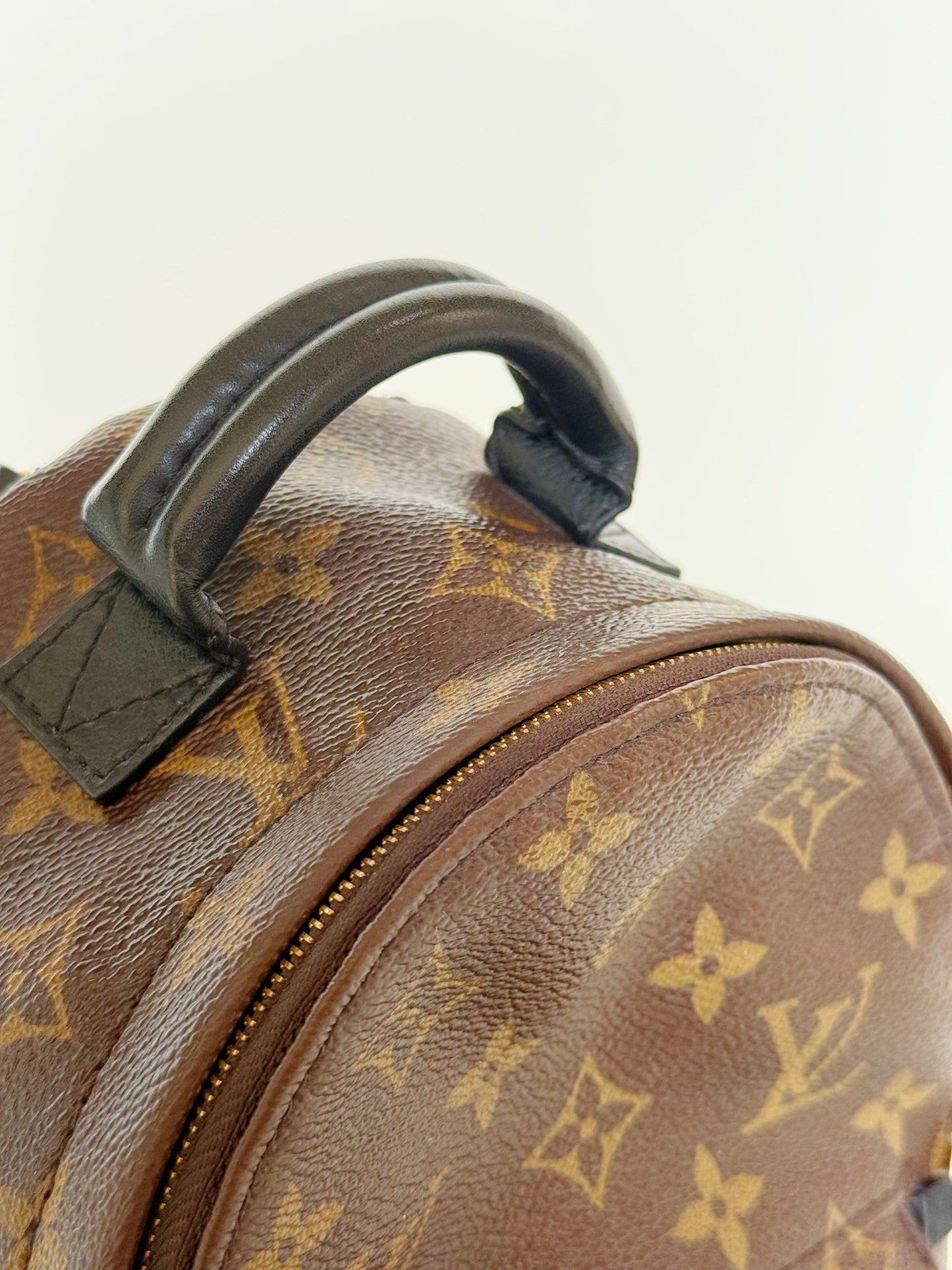 Louis Vuitton Monogram Palm Springs Backpack Mini