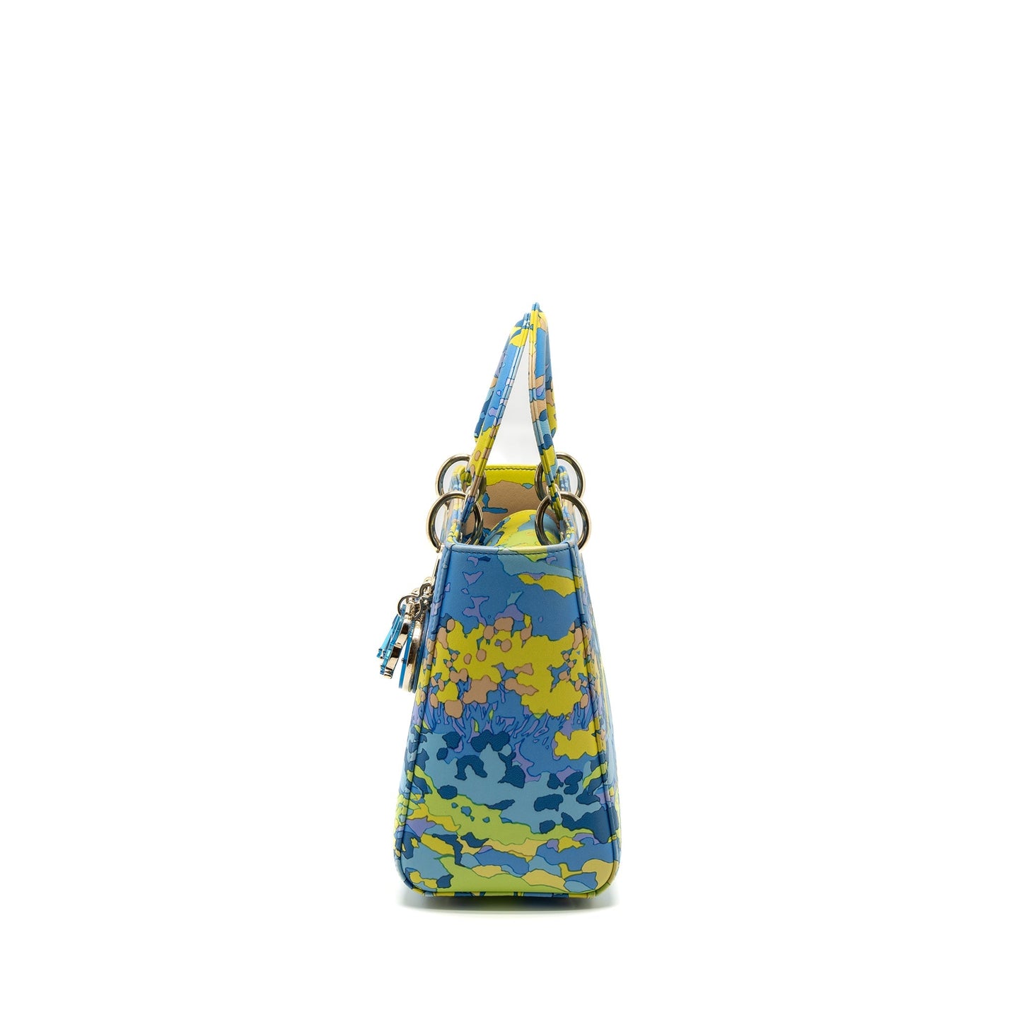 Dior Medium Lady Dior Purse Multicolour