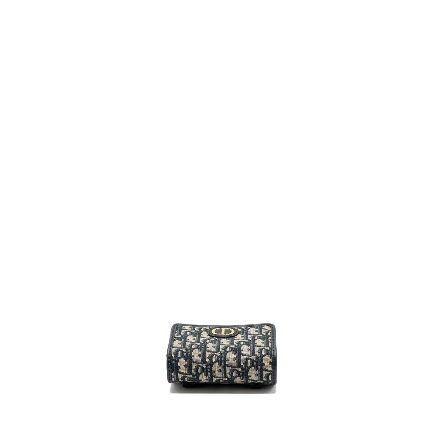 Dior 30 Montaigne Pouch with Chain Canvas Blue Oblique
