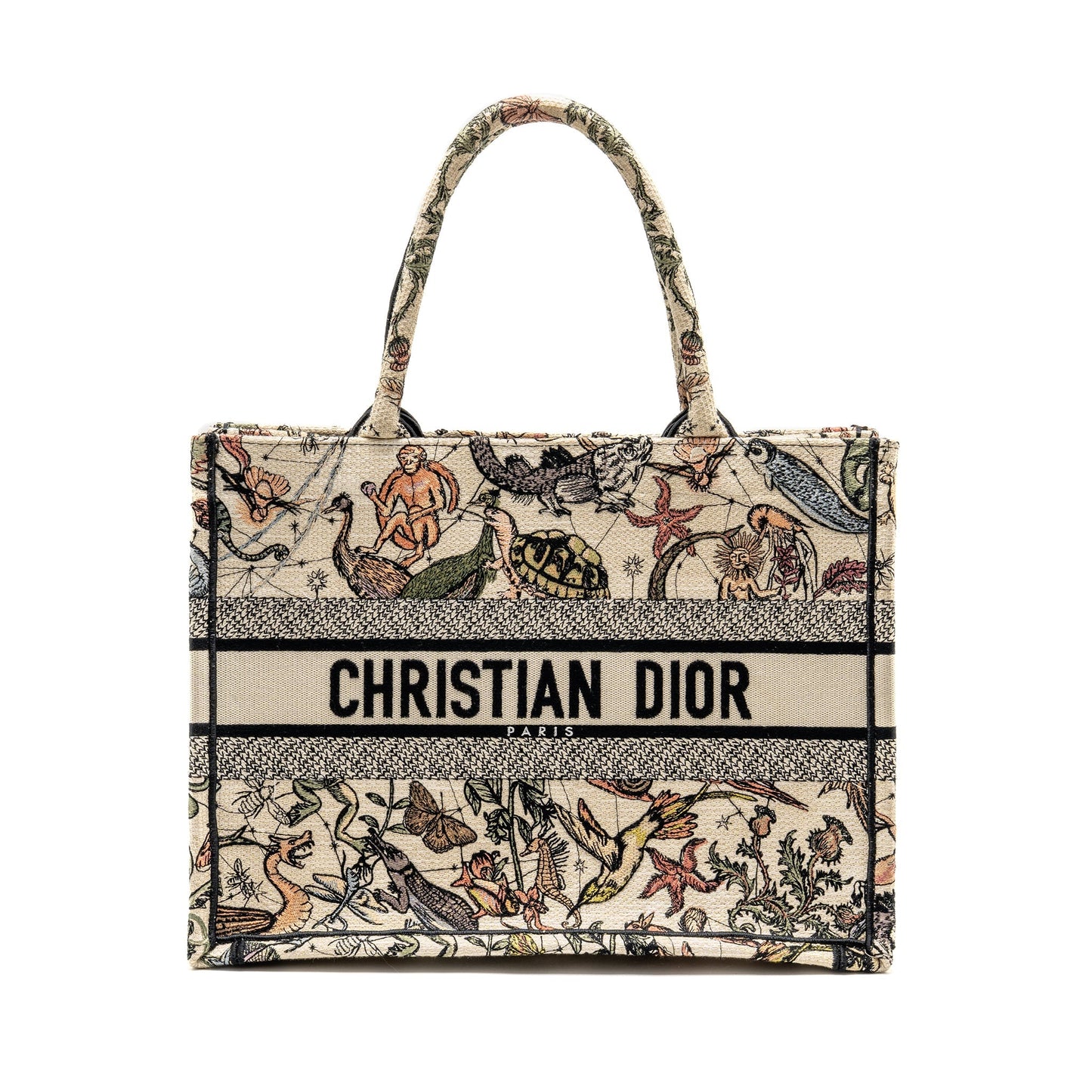 Dior Medium Book Tote Embroidery Canvas Multicolour