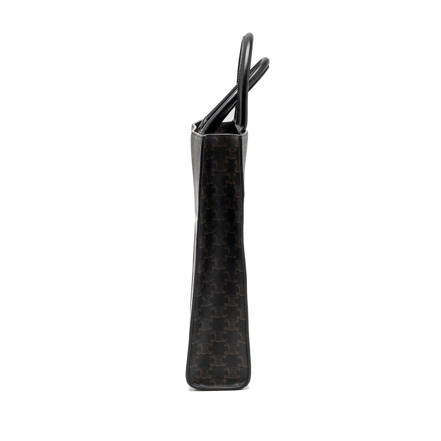 Luxury CELINE Vertical Cabas in Triomphe Canvas Black / Multicolour
