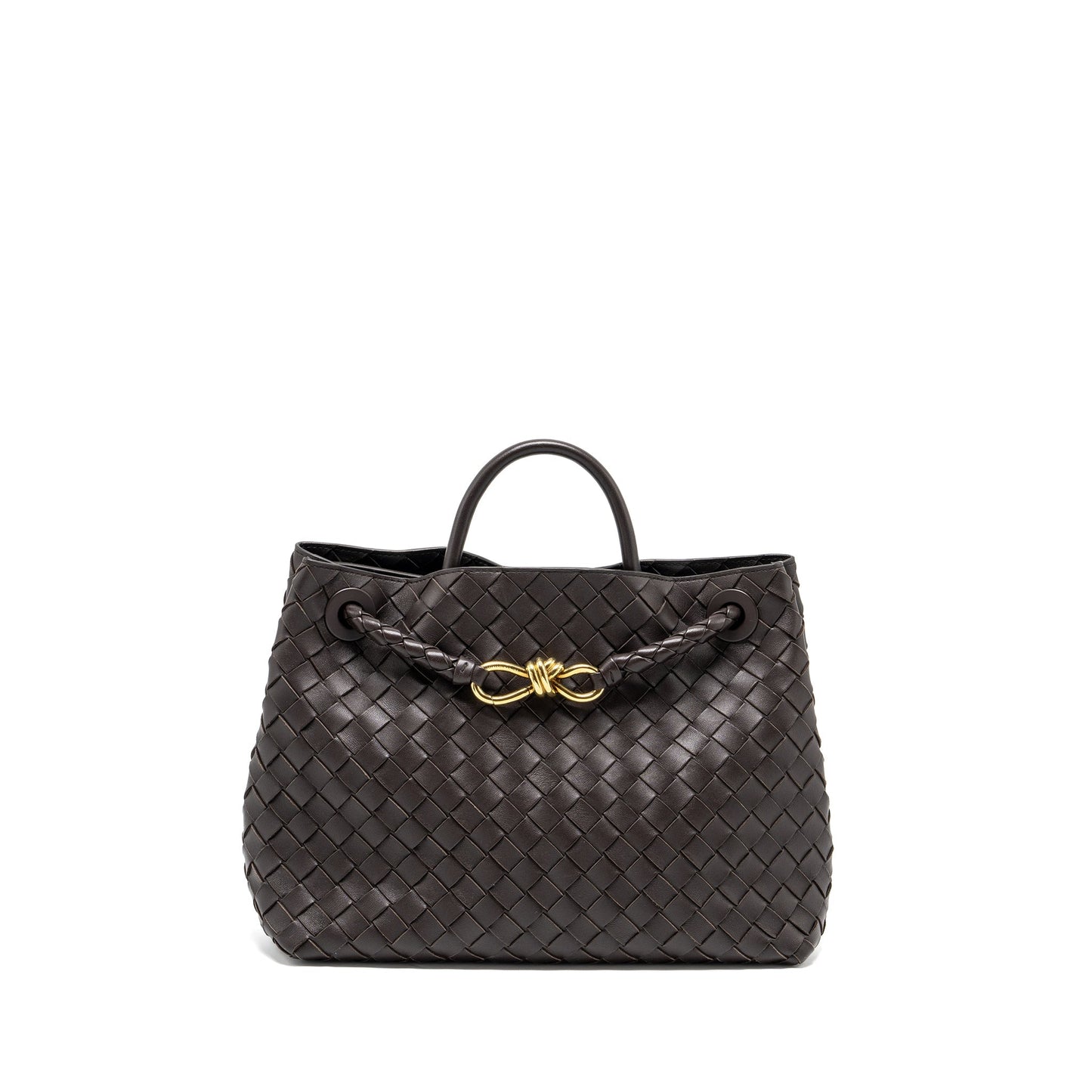 Bottega Veneta Medium Andiamo Purse Lambskin Fondant