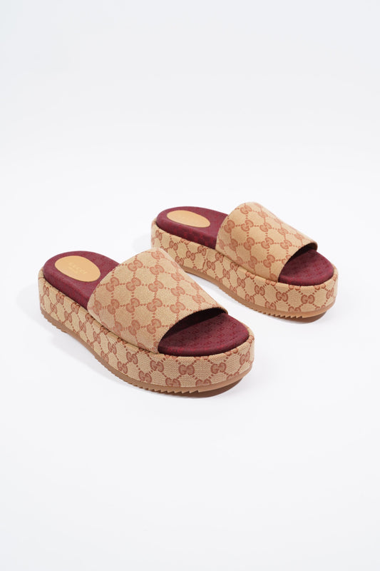 Gucci Womens Angelina GG Monogram Slides Tan EU 41 / UK 8