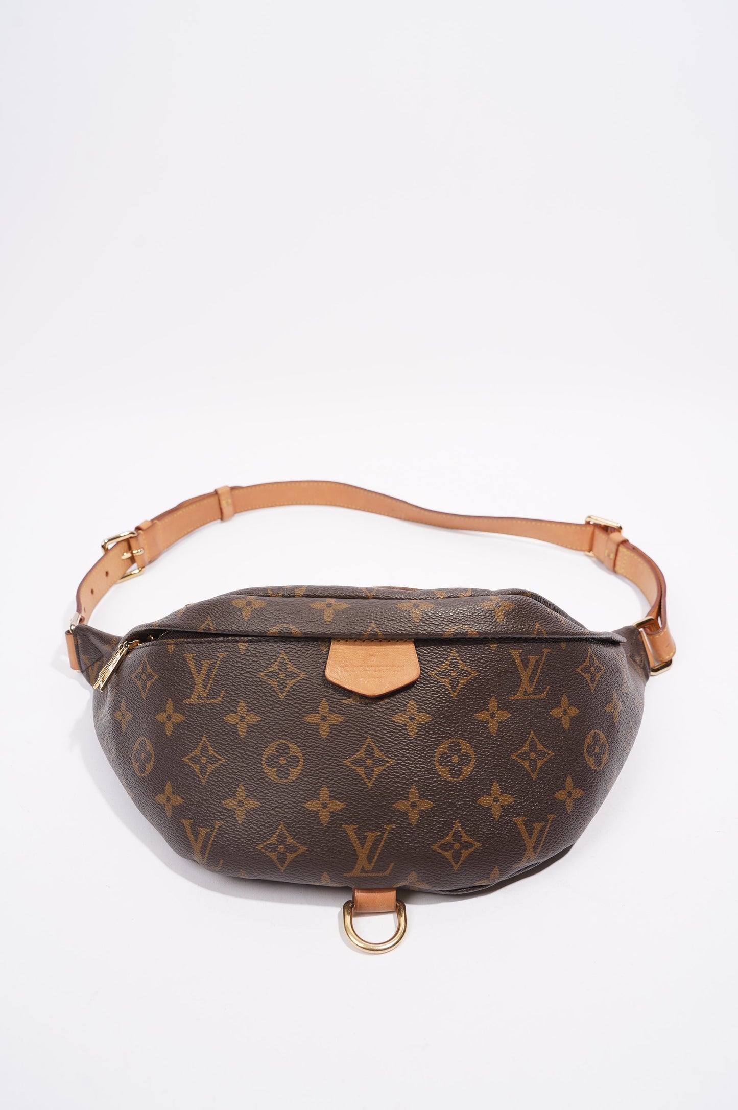 Louis Vuitton Bumbag Monogram Canvas
