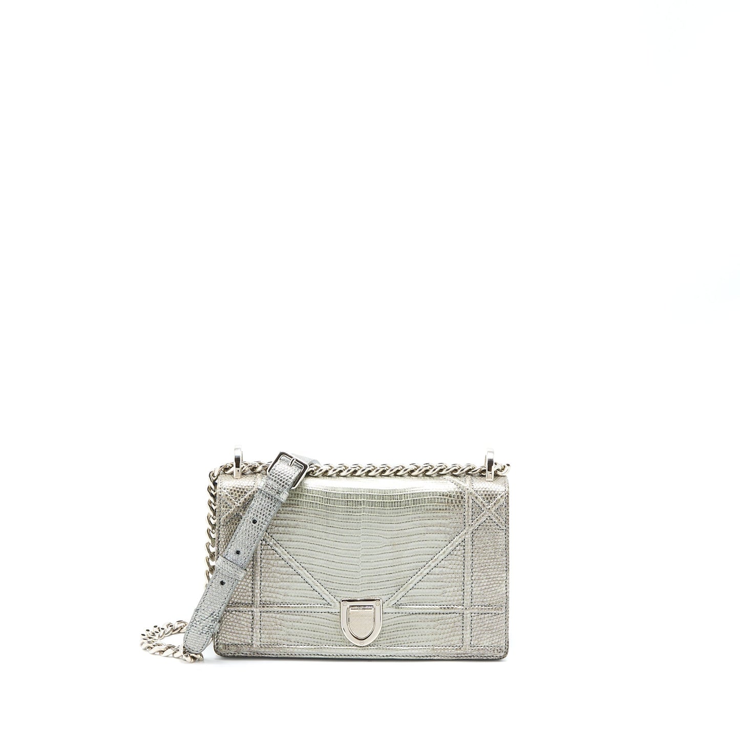 Dior Small Diorama Lizard Metallic Silver