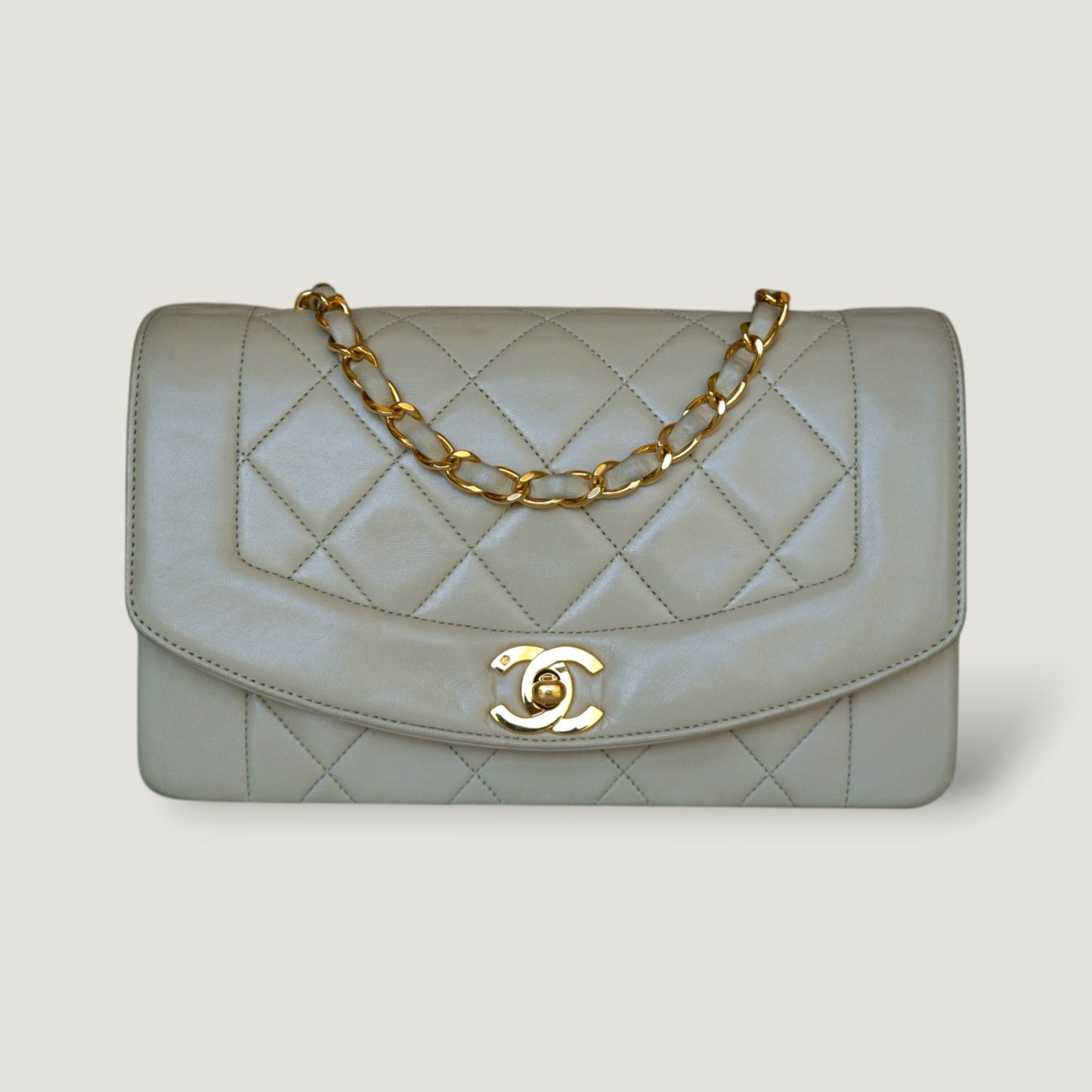 Chanel Diana Handbag Bag - Ewore Bags