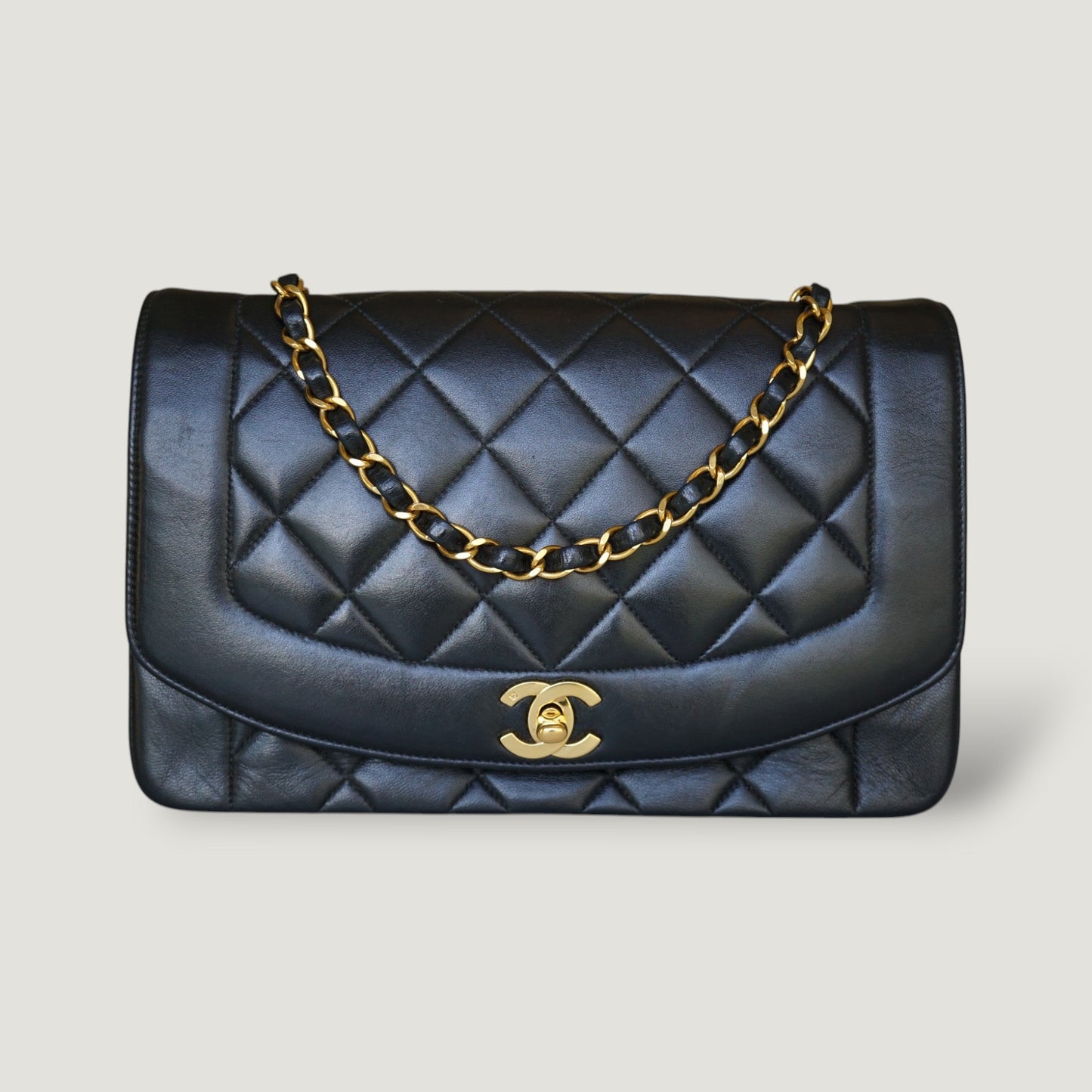 Chanel Diana Handbag Bag - Ewore Bags