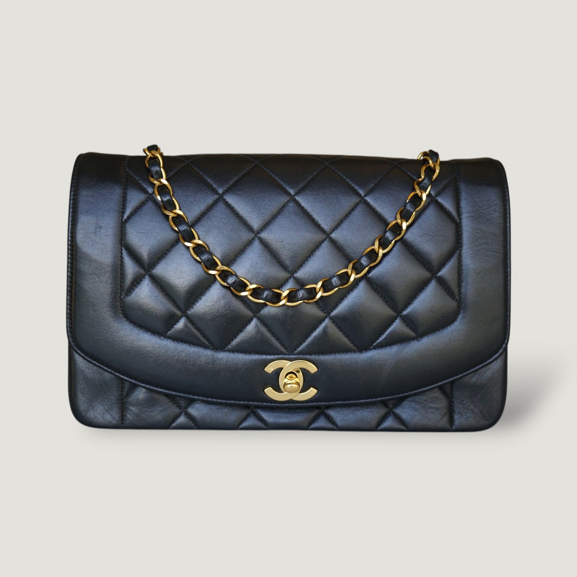 Chanel Diana Handbag Bag - Ewore Bags
