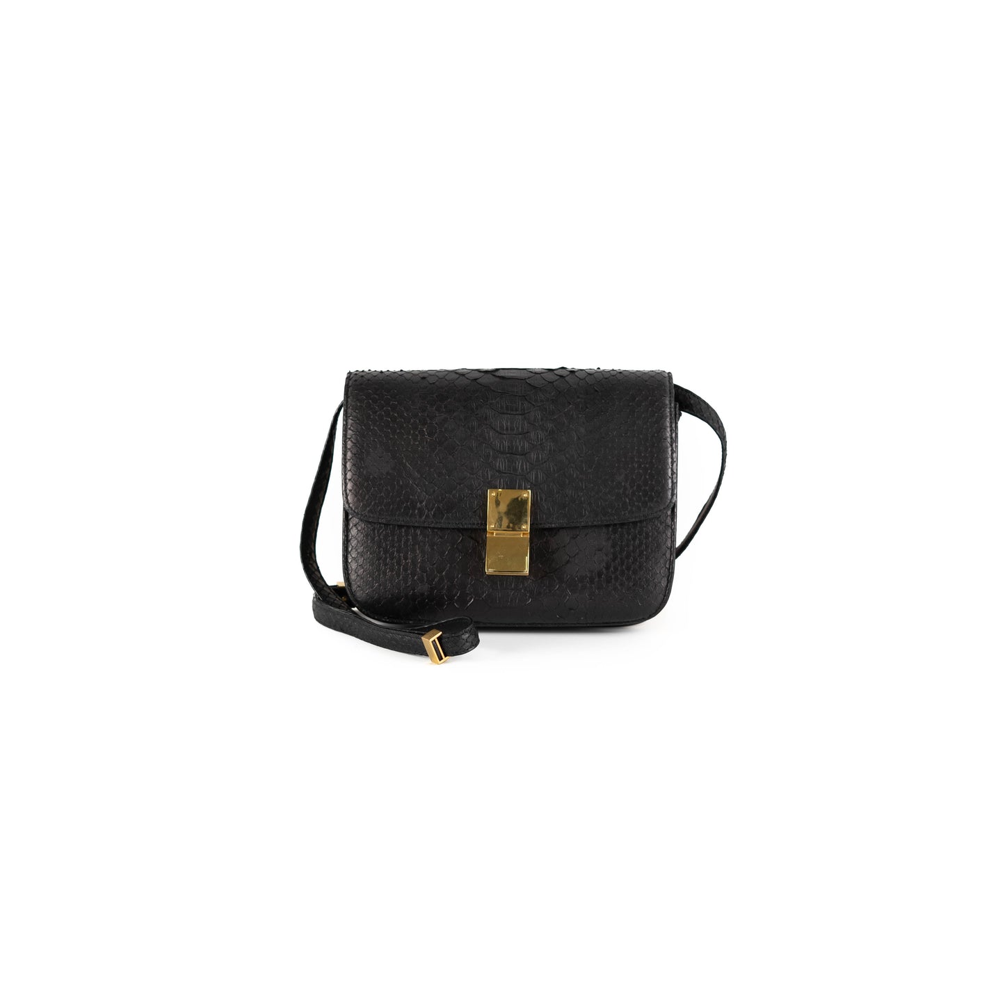 Luxury CELINE Box Python Bag Black