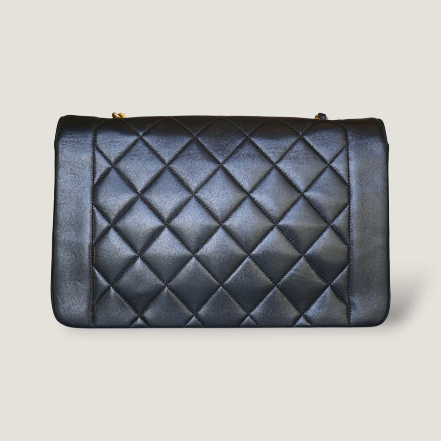 Chanel Diana Handbag Bag - Ewore Bags
