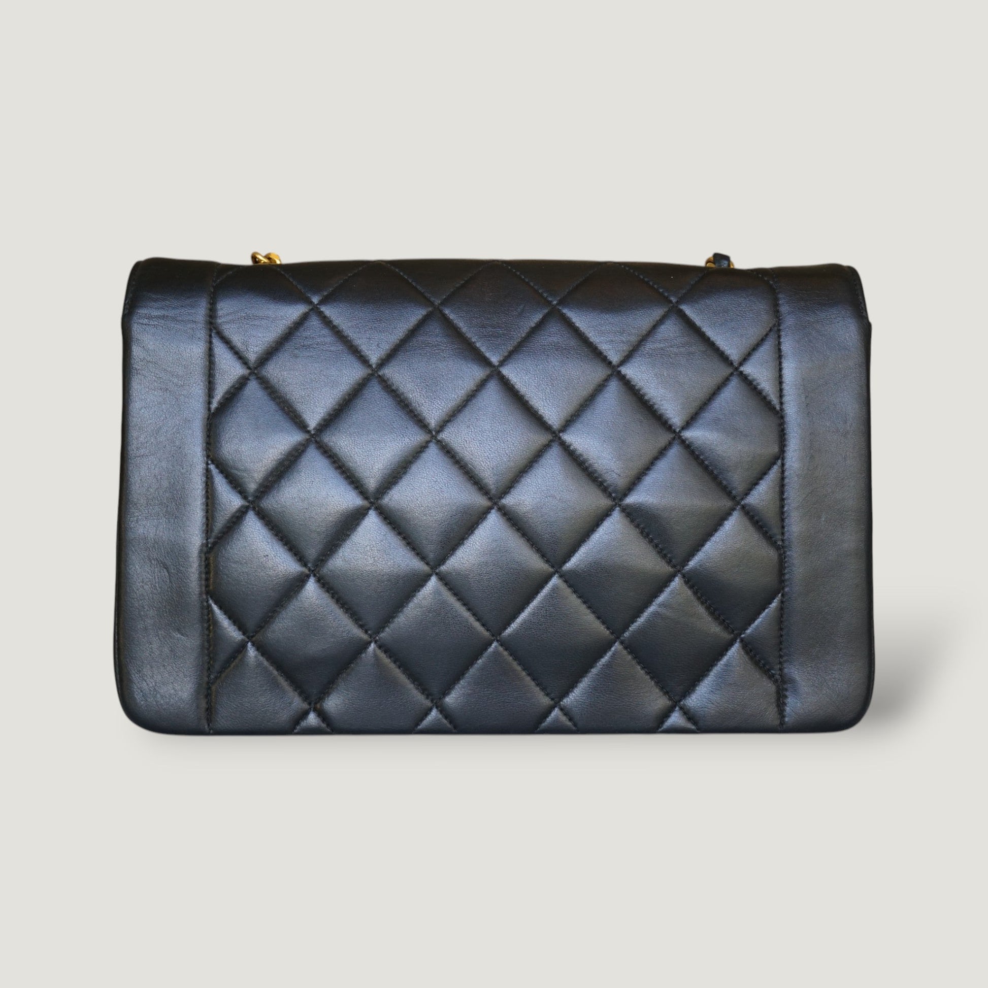 Chanel Diana Handbag Bag - Ewore Bags