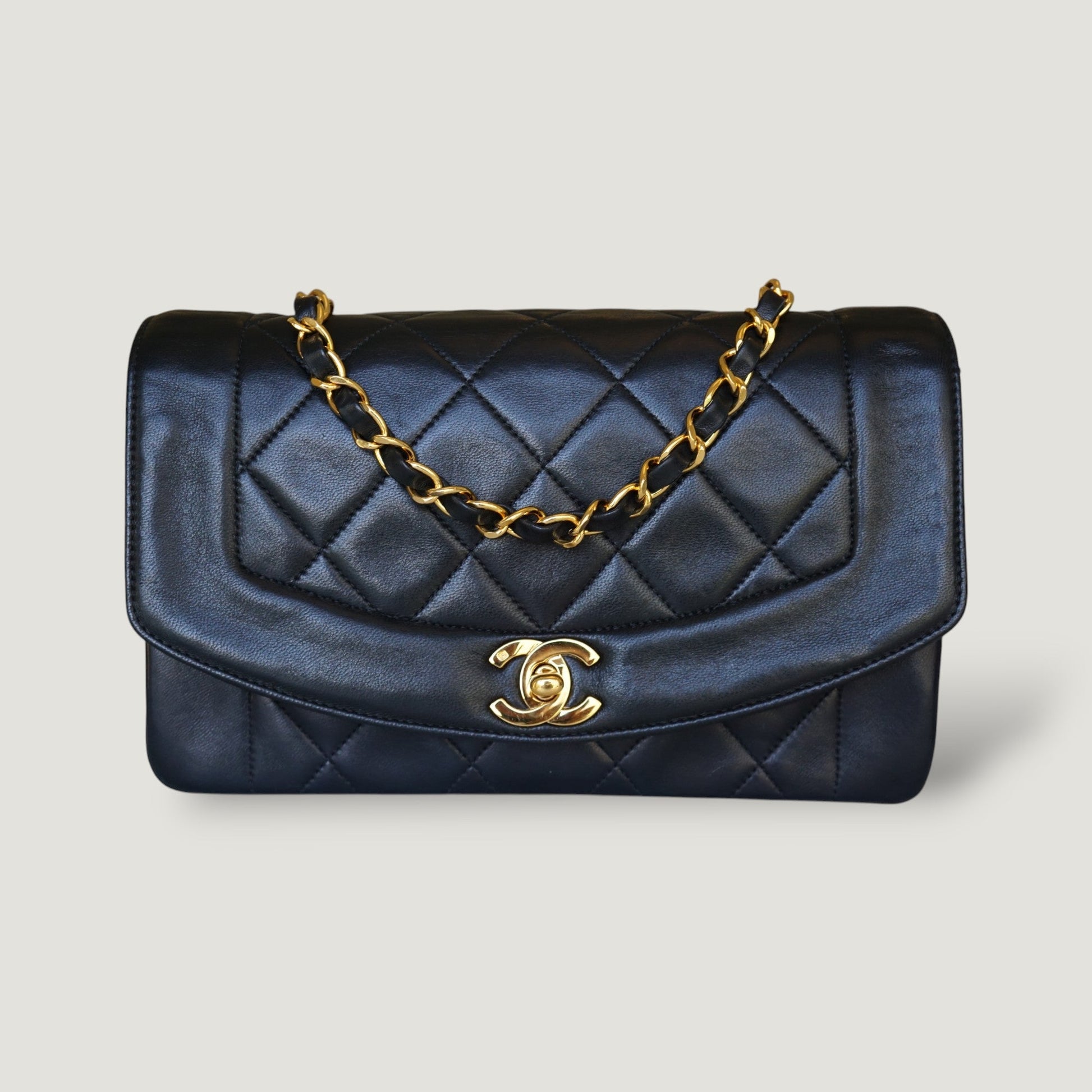 Chanel Diana Handbag Bag - Ewore Bags