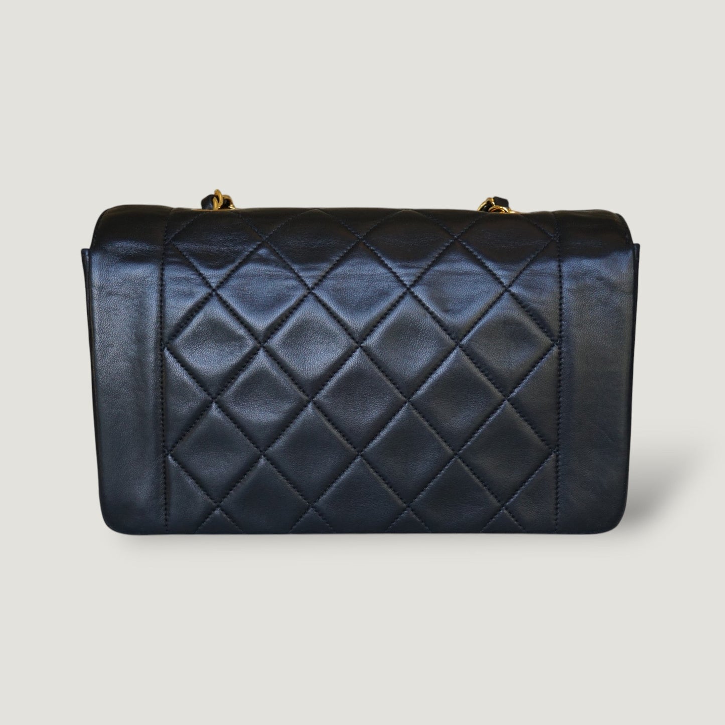 Chanel Diana Handbag Bag - Ewore Bags