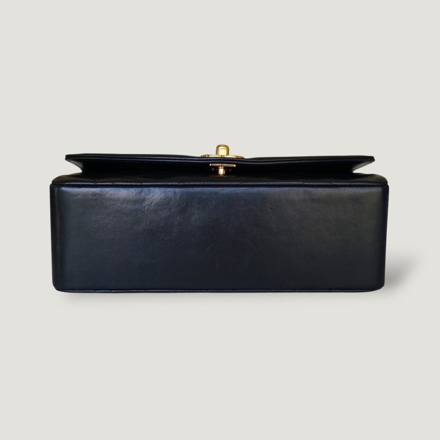 Chanel Diana Handbag Bag - Ewore Bags