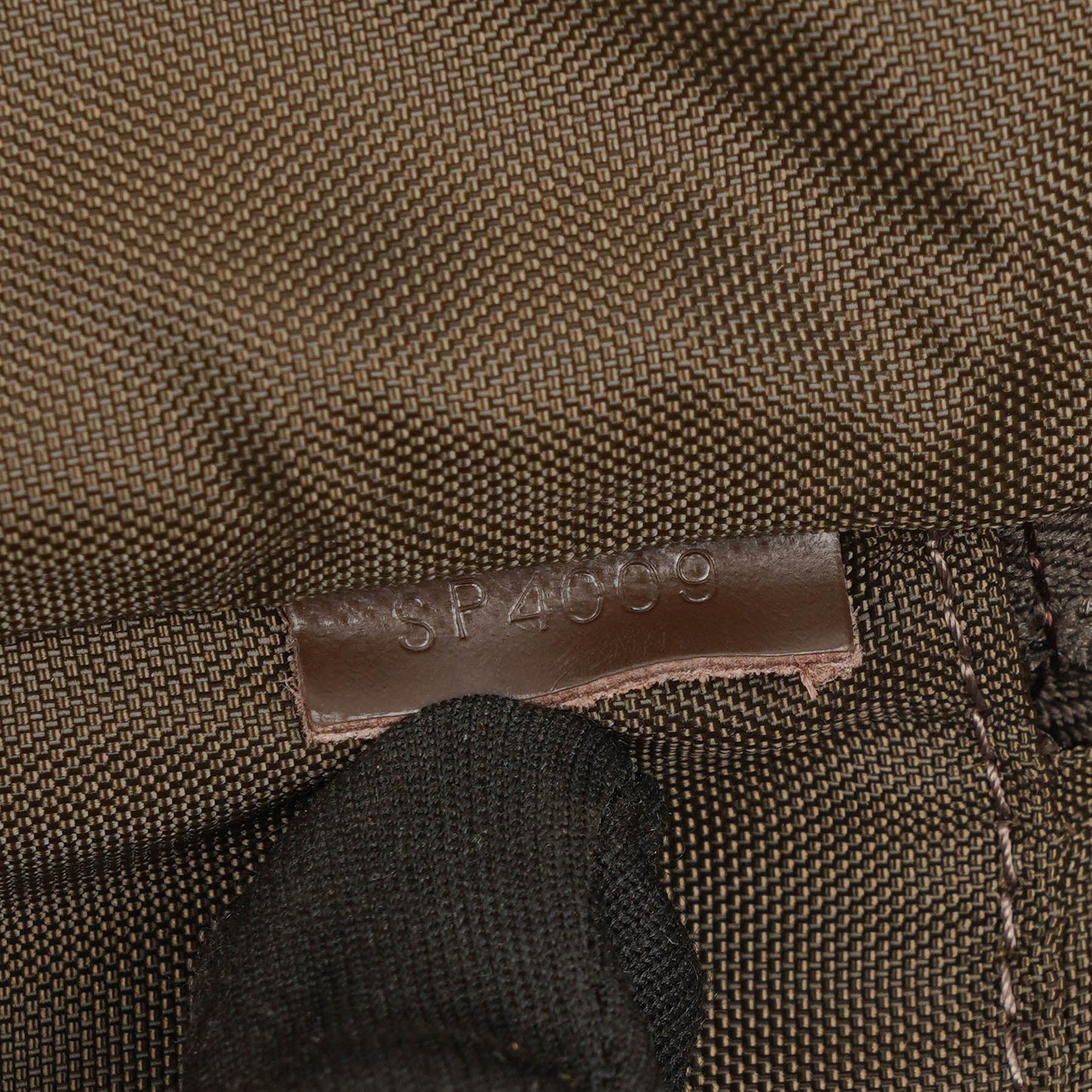 Louis Vuitton Pegase 45 Taiga Brown Grizzli Suitcase