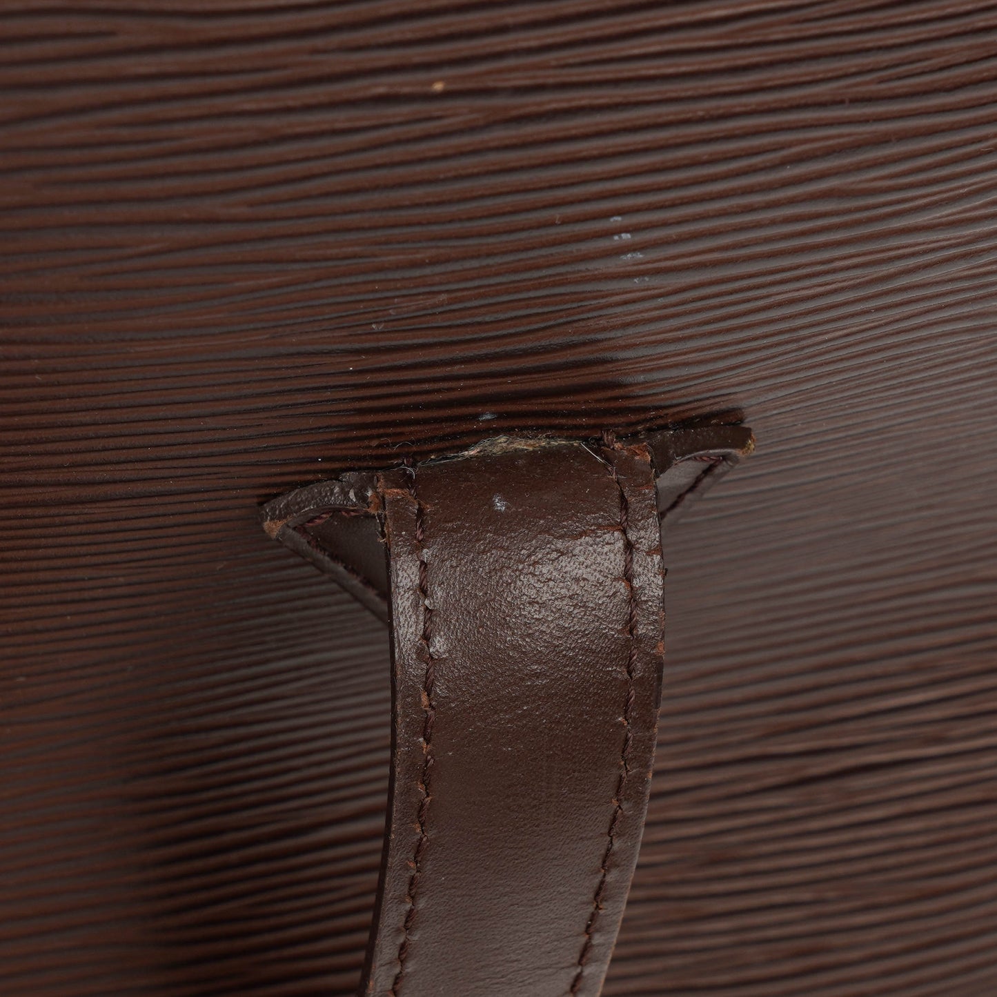 Louis Vuitton Brown Epi Leather Lussac Tote Bag