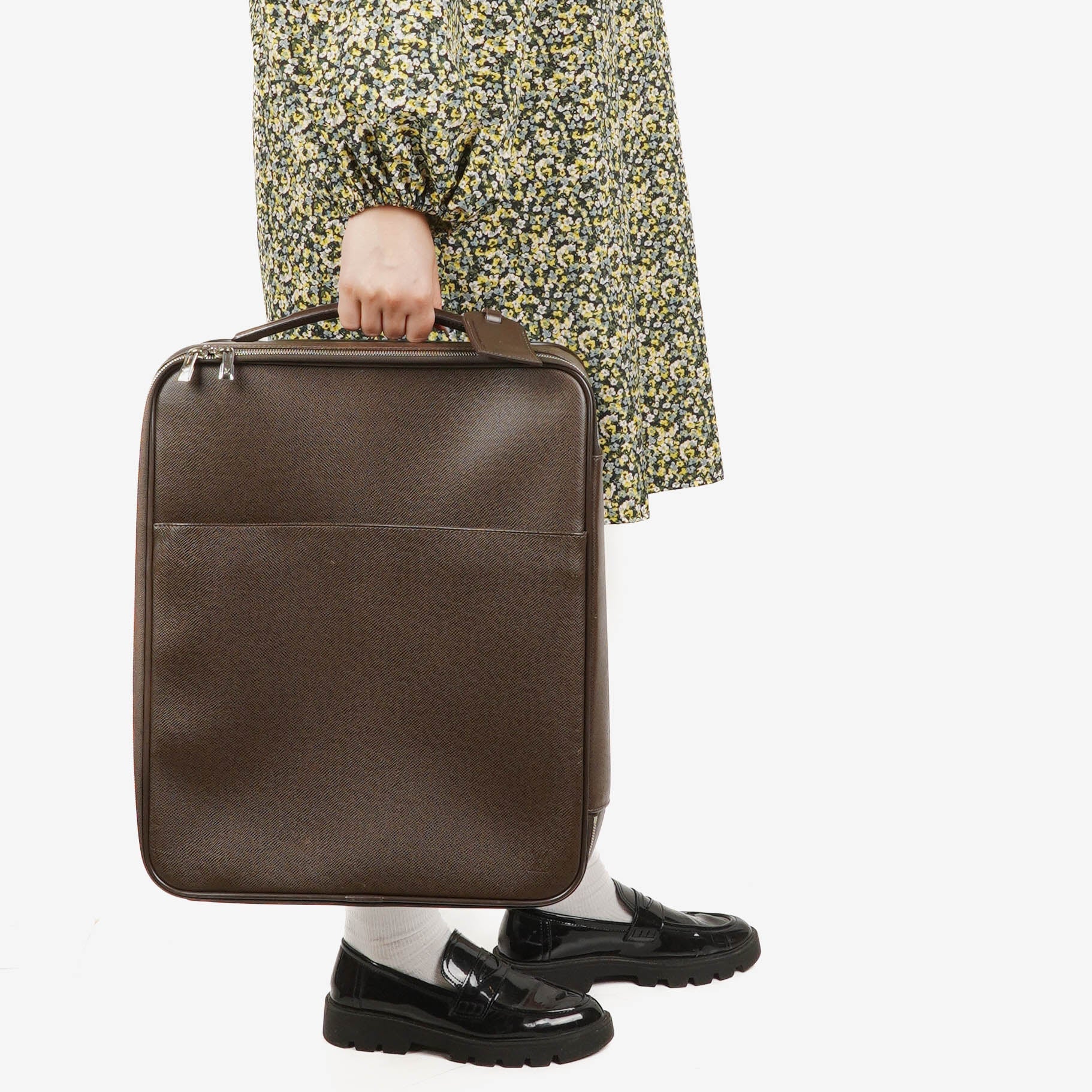 Louis Vuitton Pegase 45 Taiga Brown Grizzli Suitcase