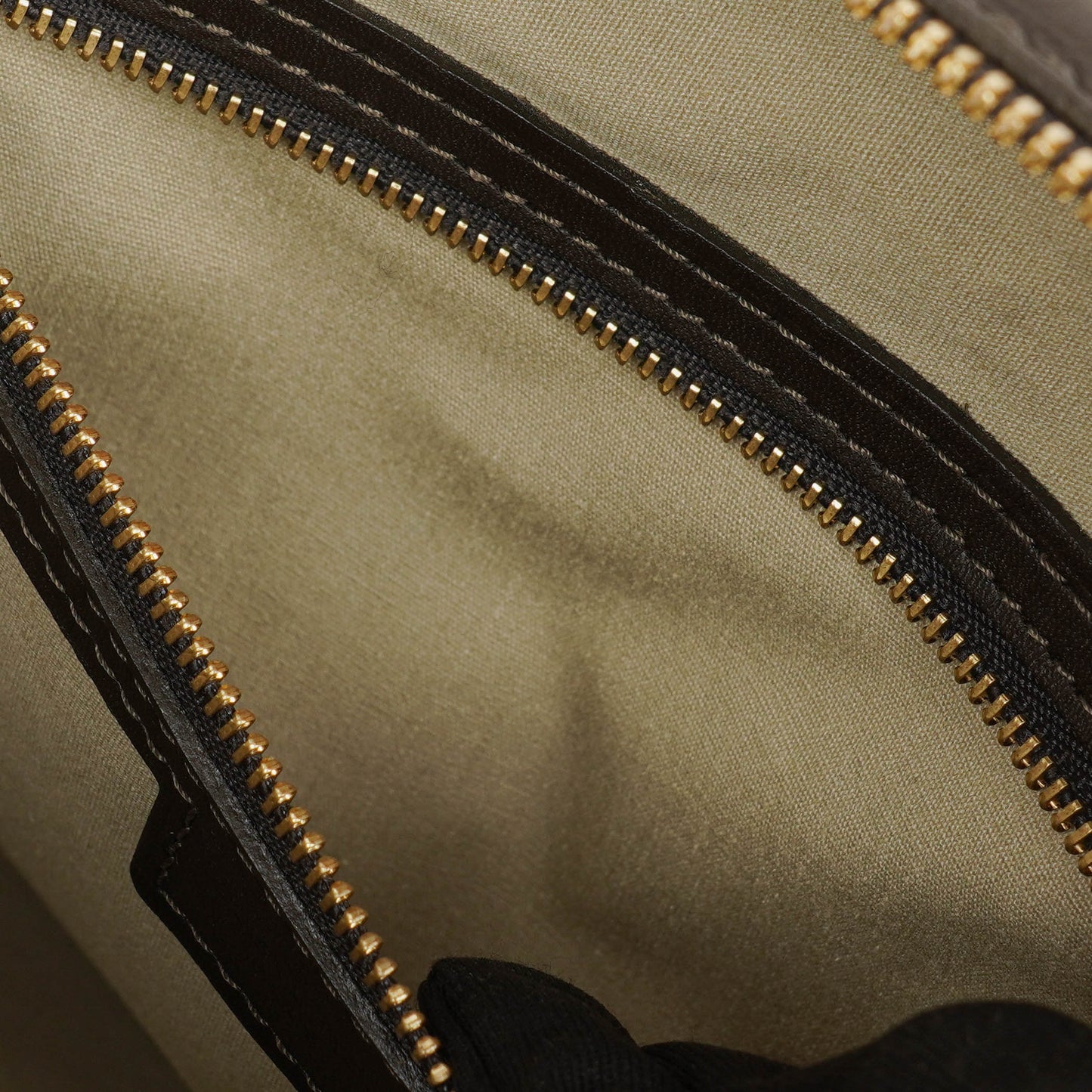 Louis Vuitton Brown Josephine GM Monogram Mini Lin Canvas Bag