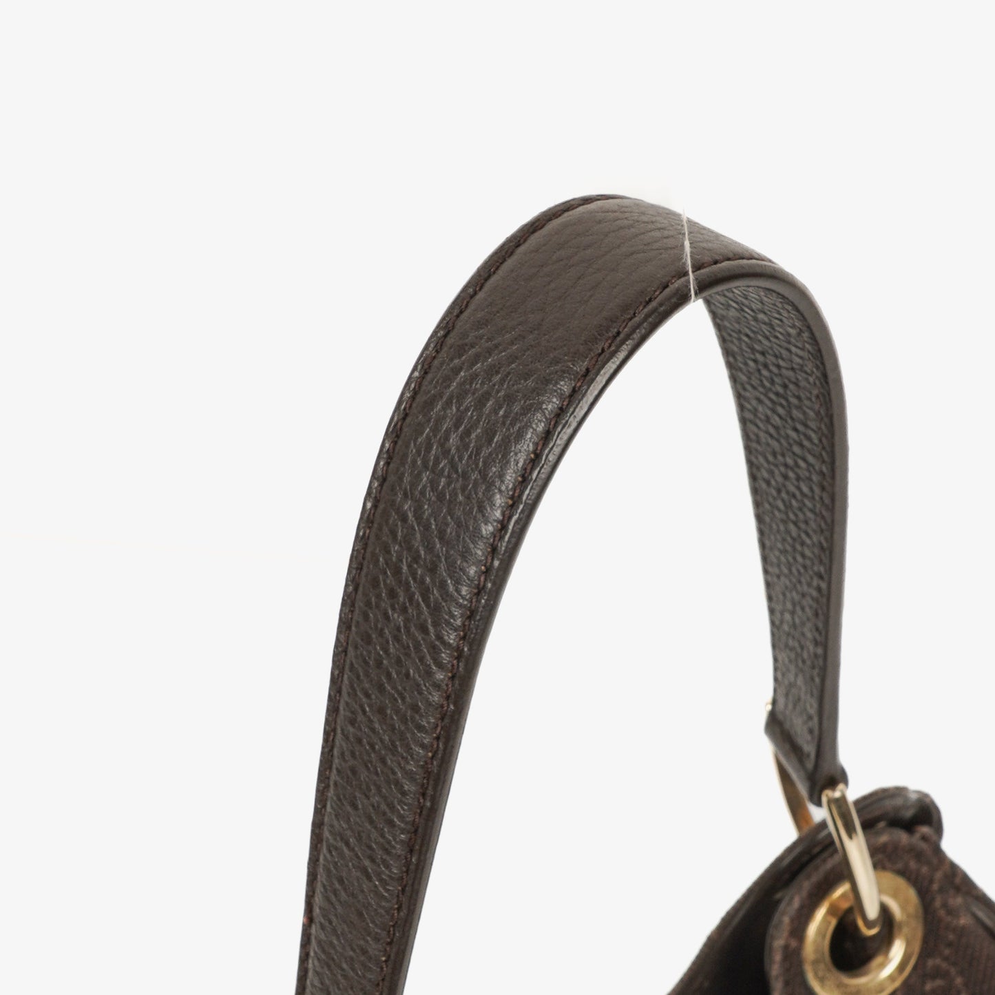 Gucci GG Canvas Colbert Hobo Bag