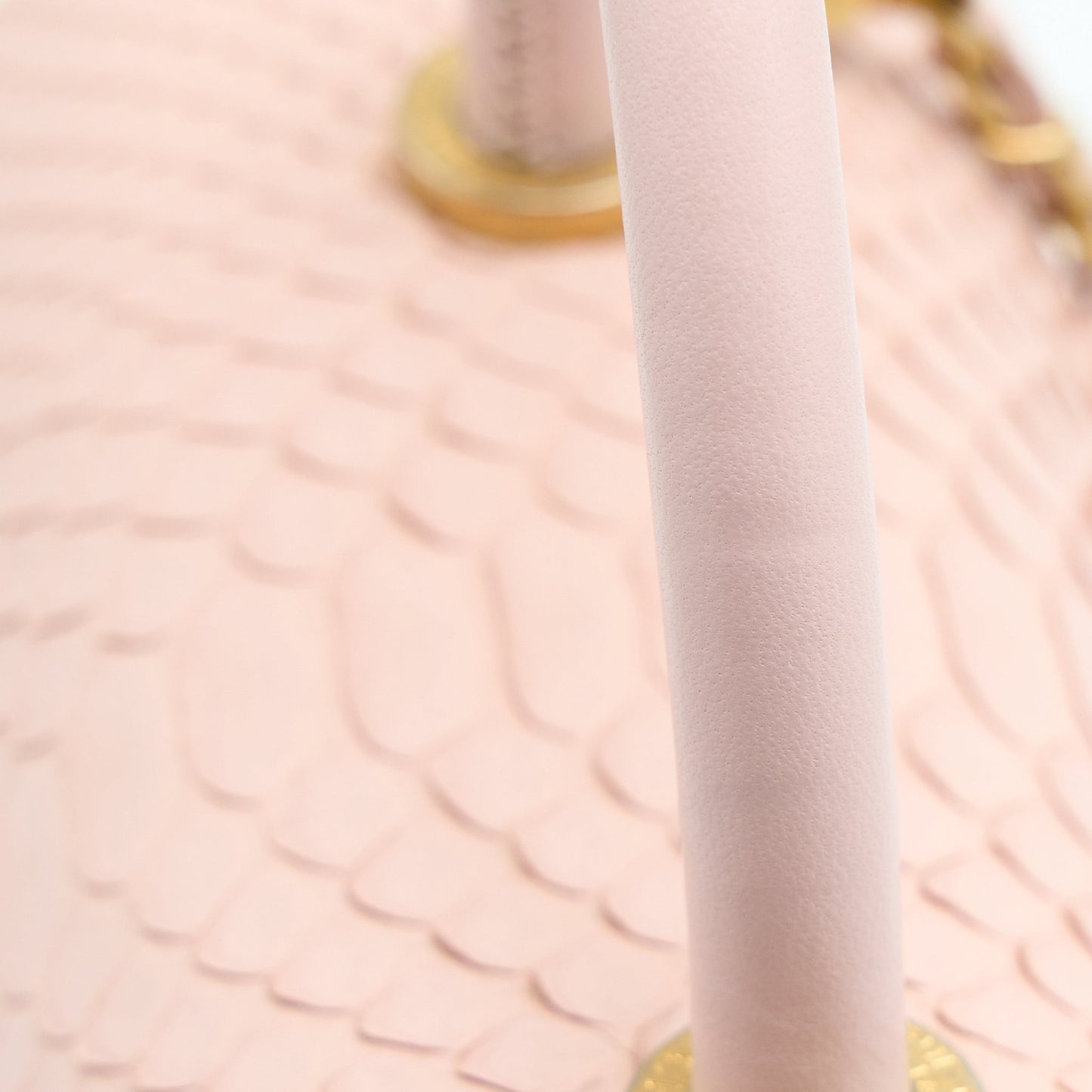Chanel Small Coco Handle Python Leather Light Pink Brushed