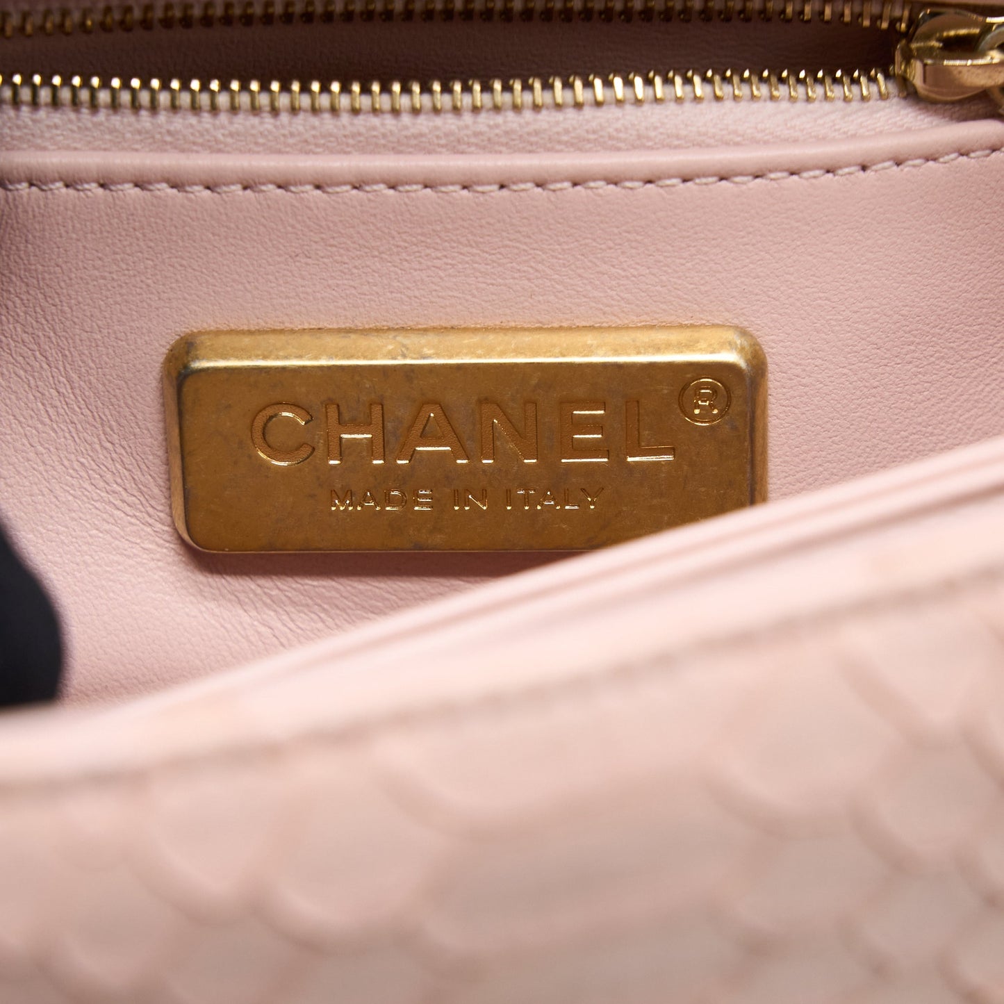 Chanel Small Coco Handle Python Leather Light Pink Brushed