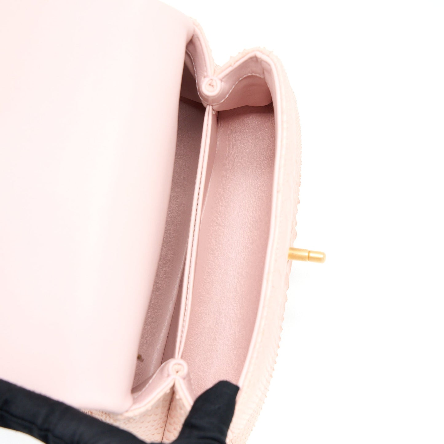 Chanel Small Coco Handle Python Leather Light Pink Brushed