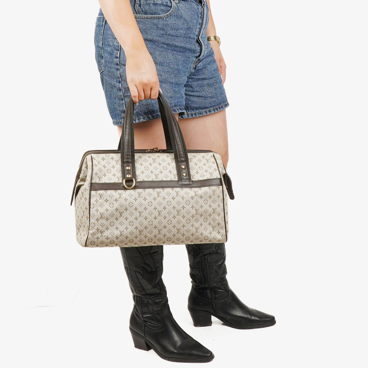 Louis Vuitton Brown Josephine GM Monogram Mini Lin Canvas Bag