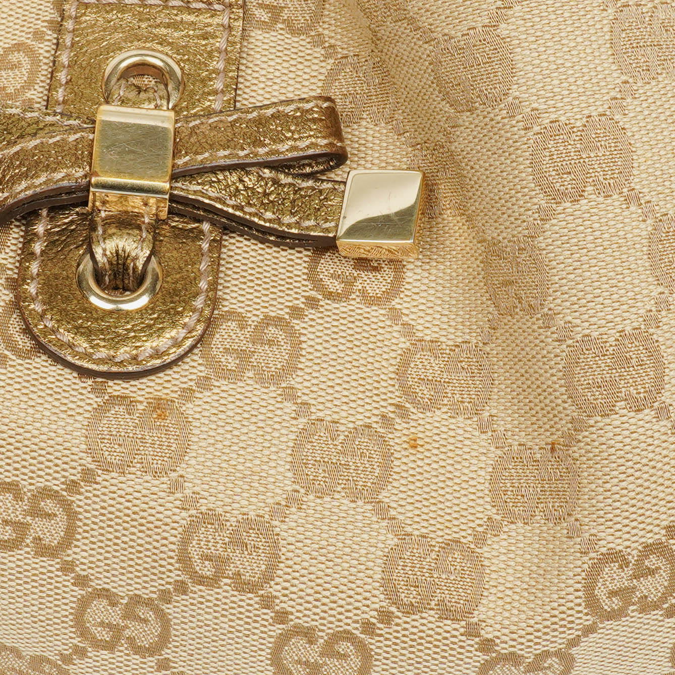 Gucci Monogram Princy Hobo Bag